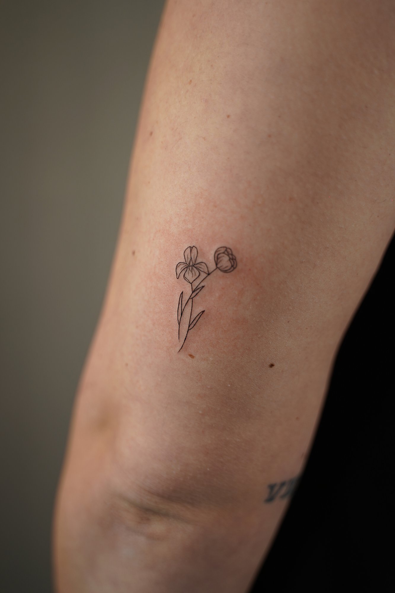 Tatuaje de arbol en zona desconocida, línea fina