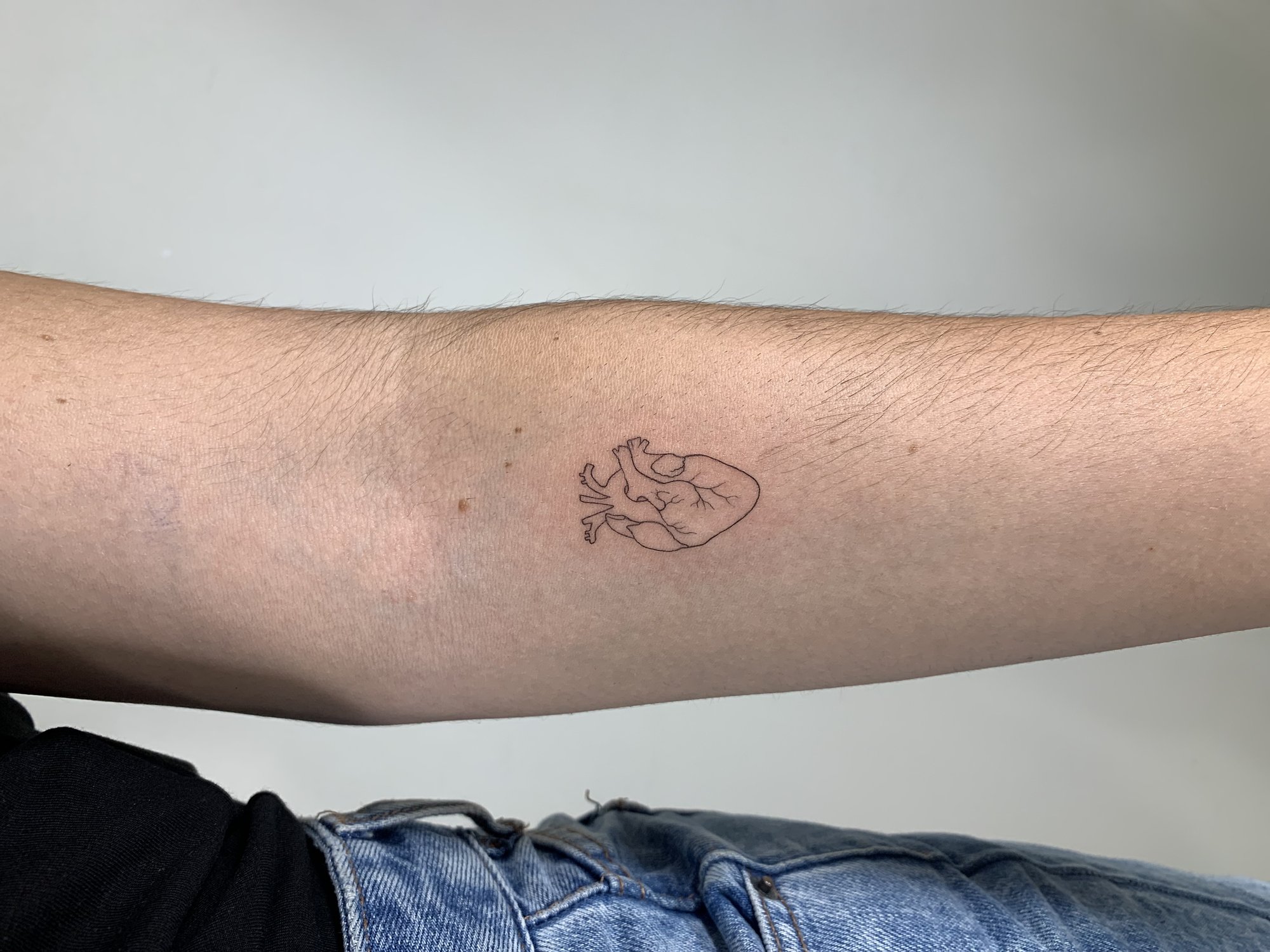 Tatuaje de corazon anatomico linea fina en antebrazo, línea fina