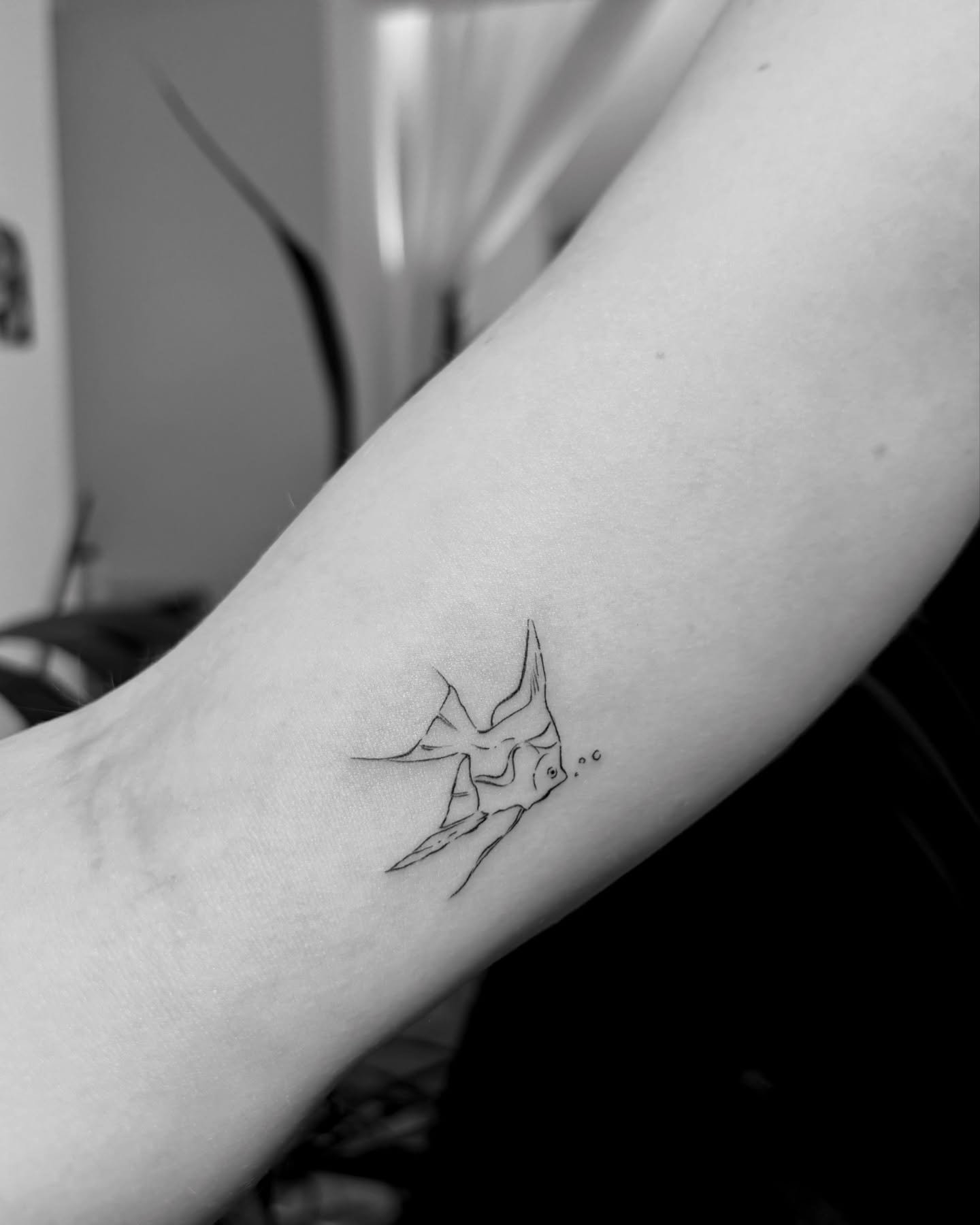 Tatuaje de animal en antebrazo, línea fina Sinkply Madrid