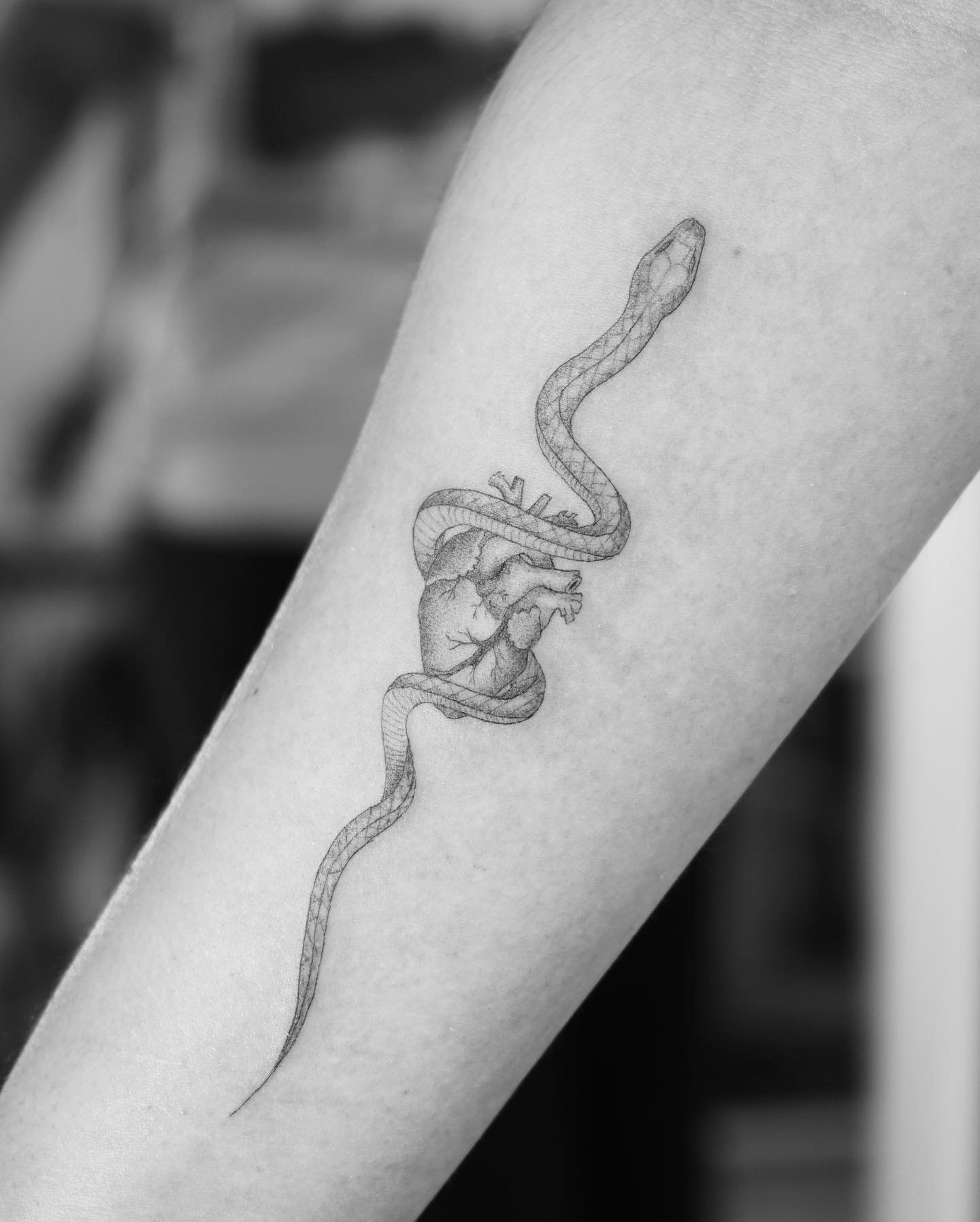 Tatuaje de animal en antebrazo, línea fina Sinkply Madrid