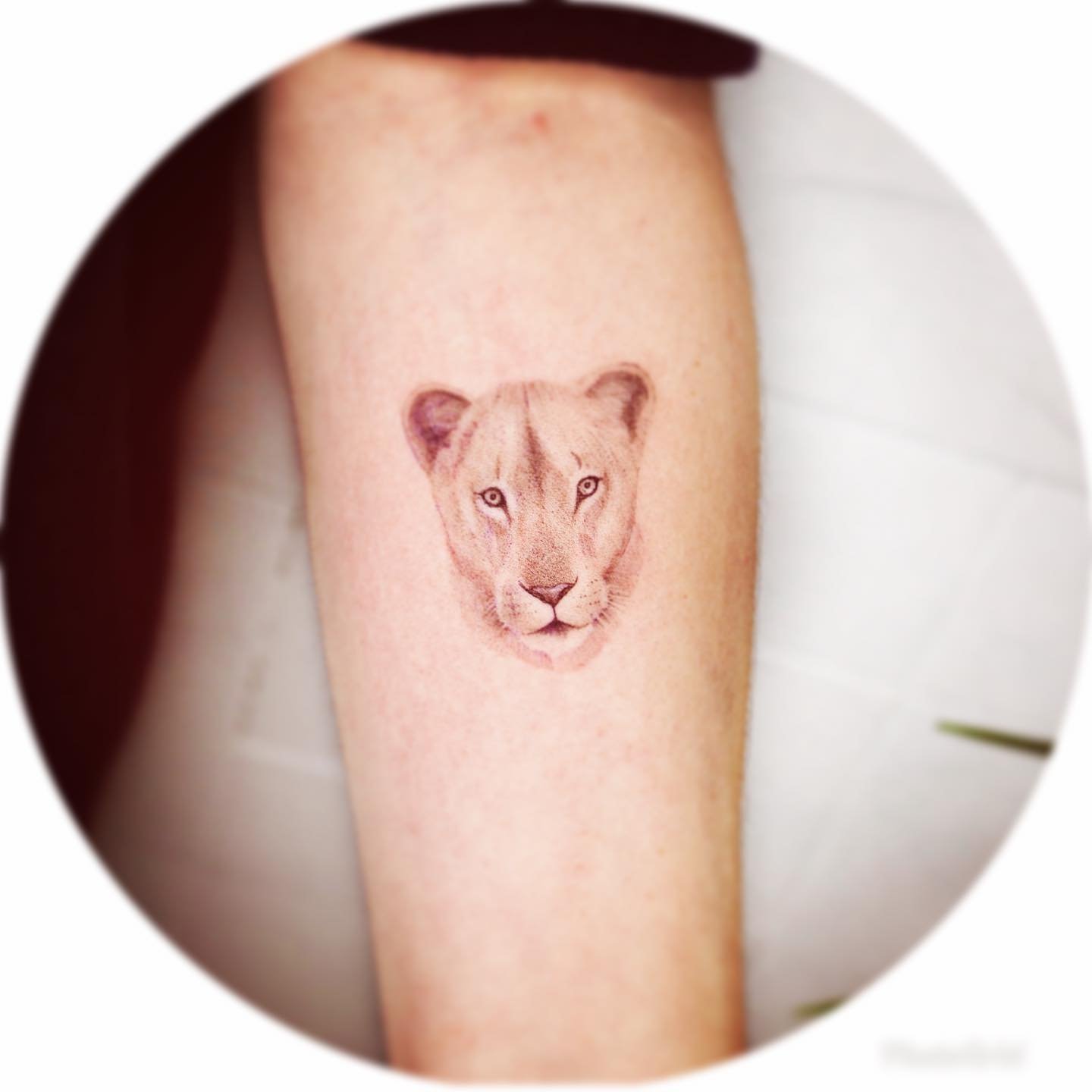 Tatuaje de animal en antebrazo, línea fina Sinkply Madrid