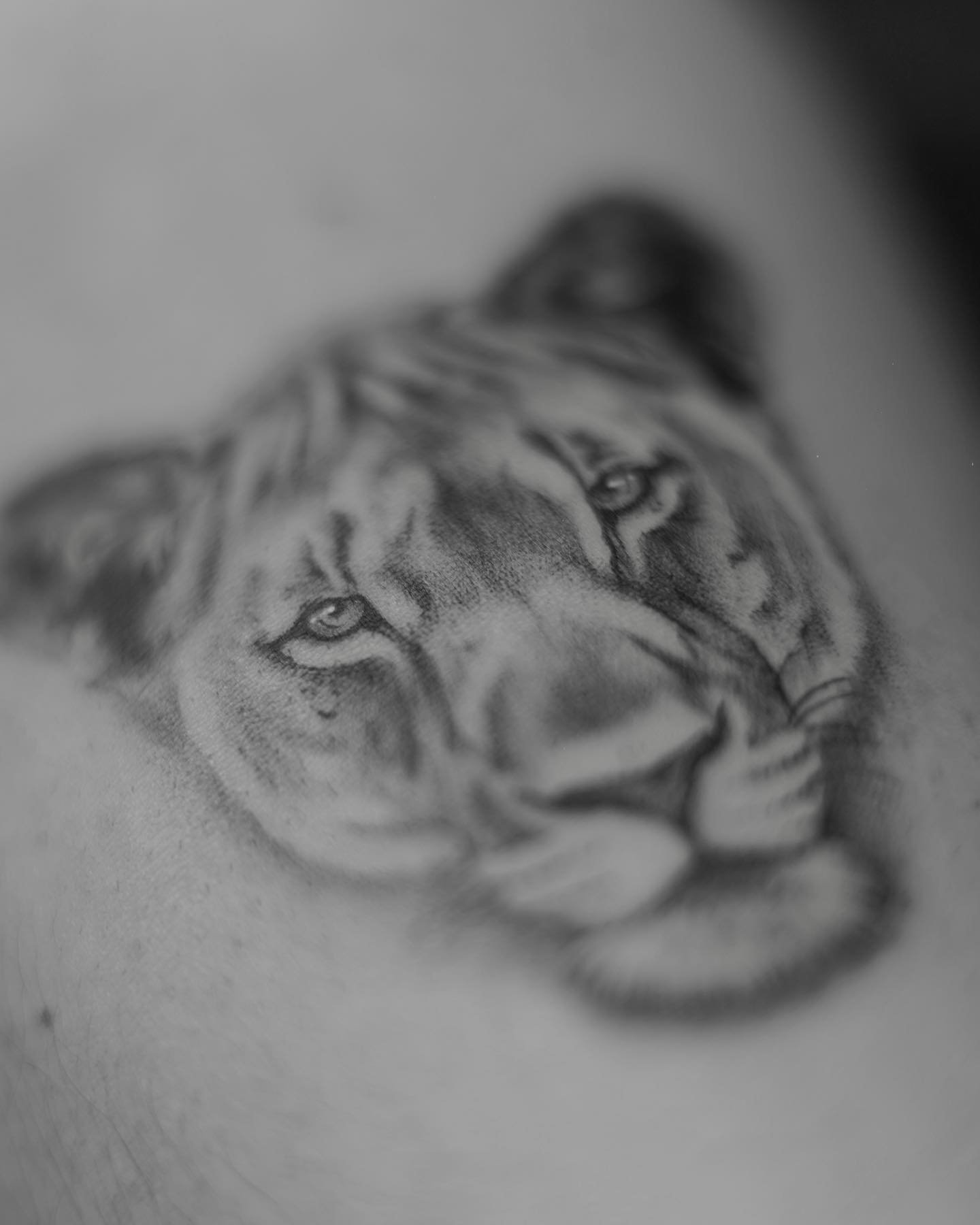 Tatuaje de animal en antebrazo, línea fina Sinkply Madrid