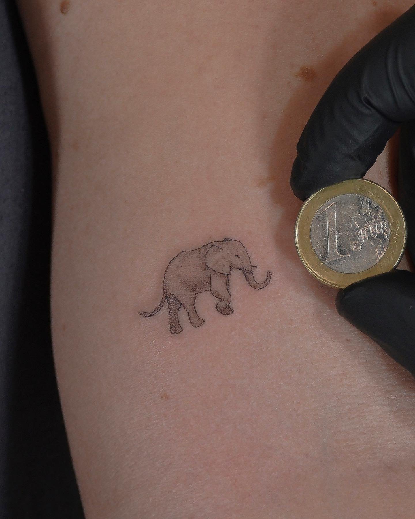 Tatuaje de animal en antebrazo, línea fina Sinkply Madrid