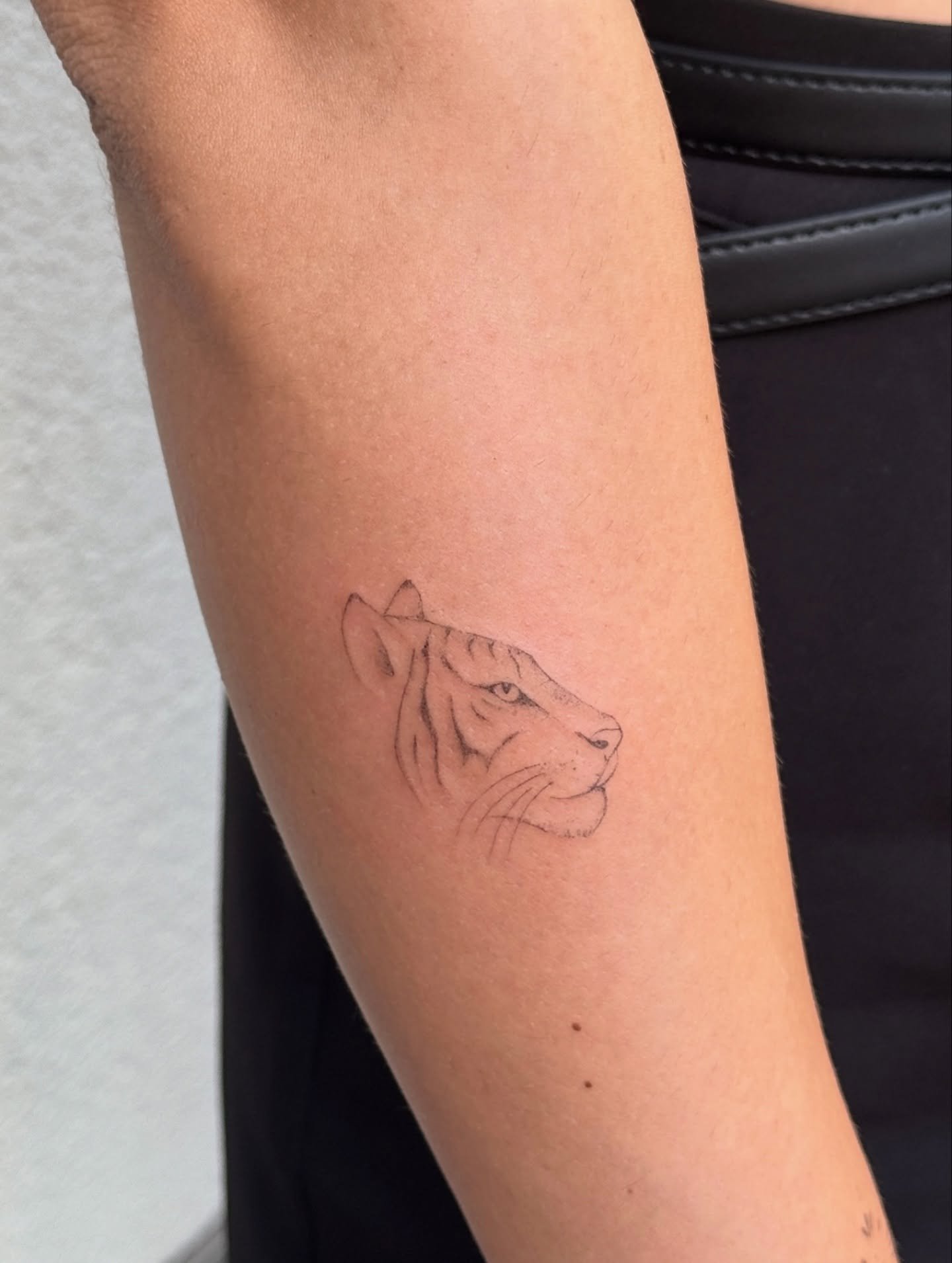 Tatuaje de animal en antebrazo, línea fina Sinkply Madrid
