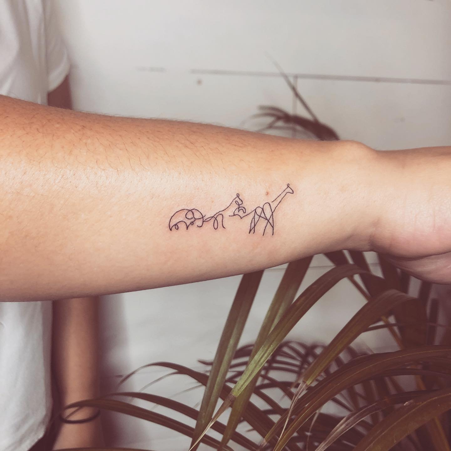 Tatuaje de animal en antebrazo, línea fina Sinkply Madrid