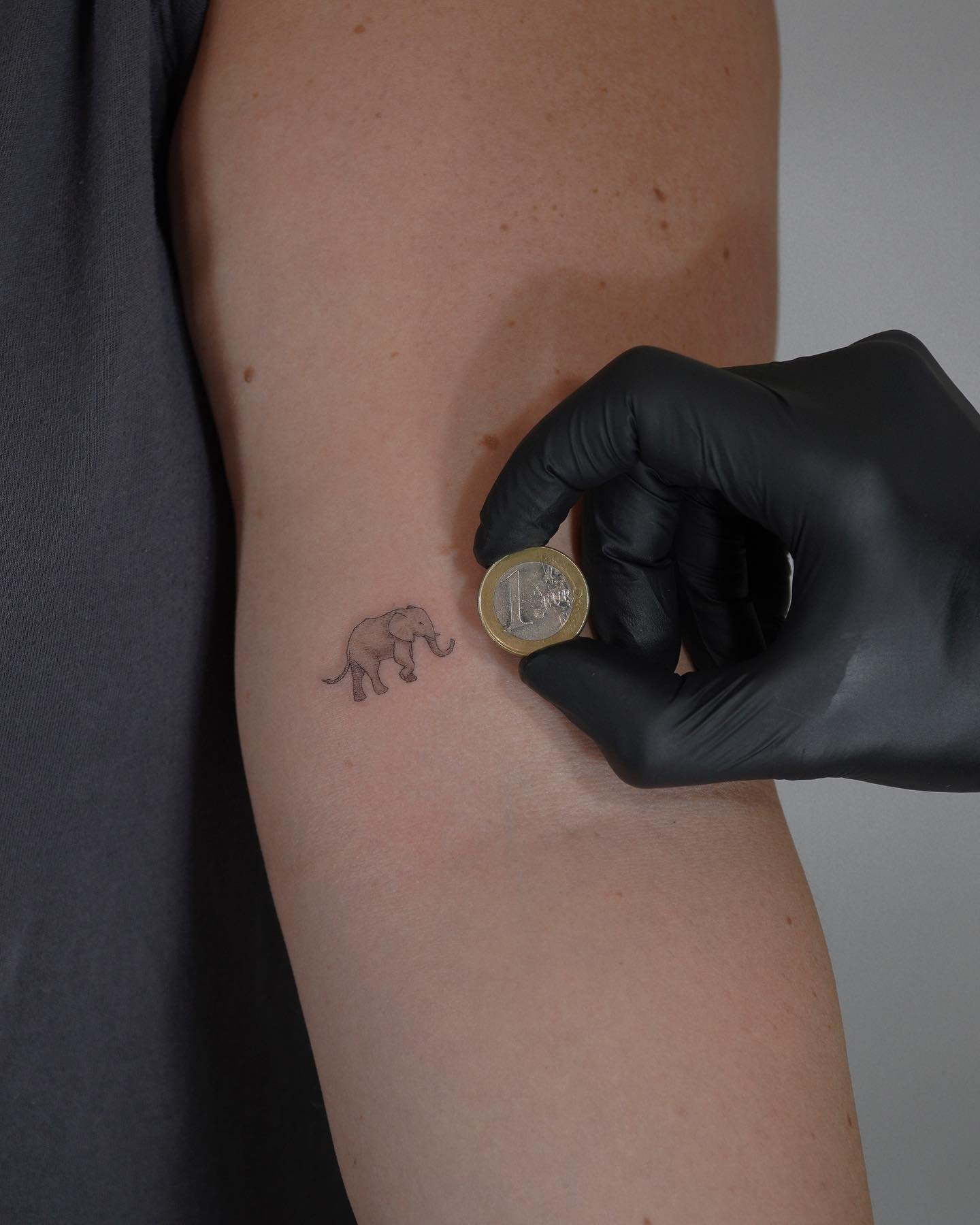 Tatuaje de animal en brazo, línea fina Sinkply Madrid