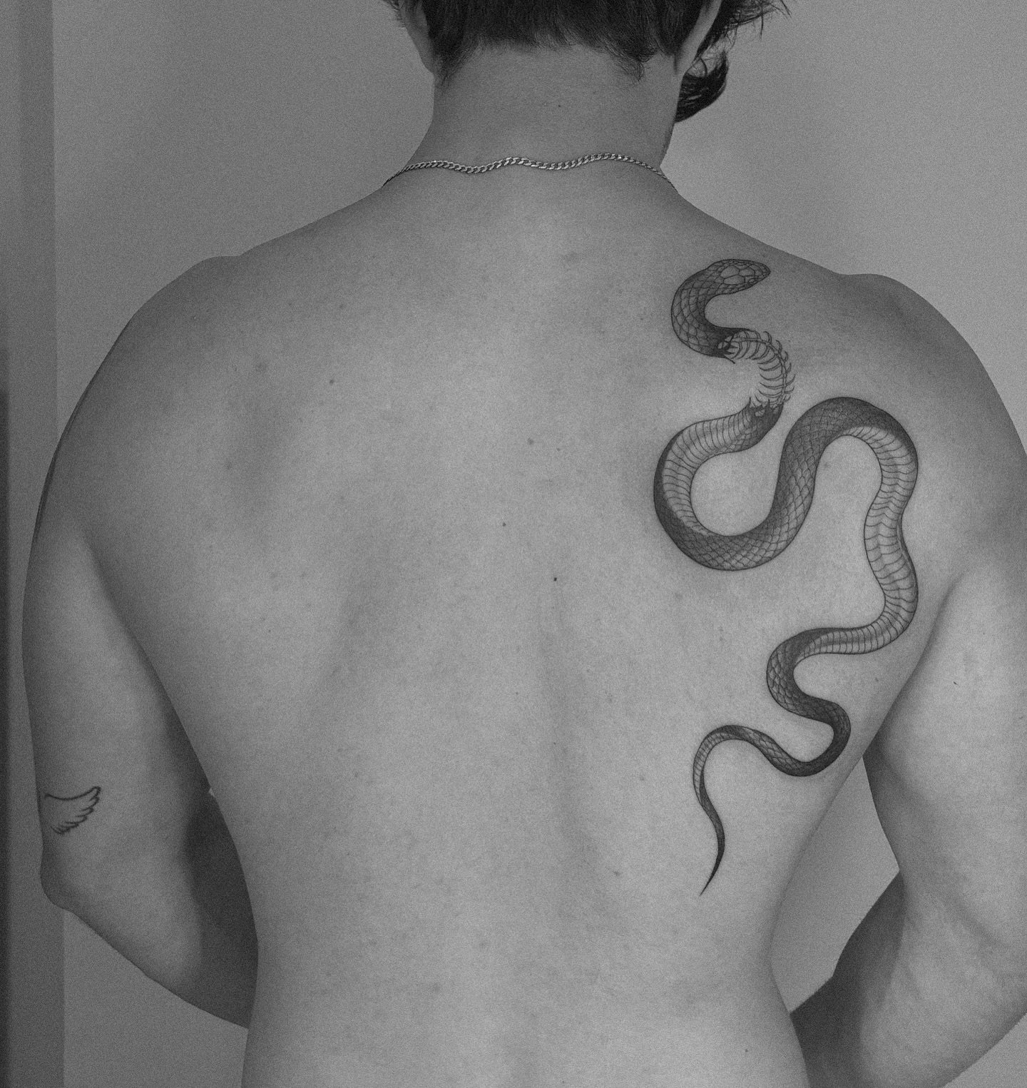 Tatuaje de animal en brazo, línea fina Sinkply Madrid