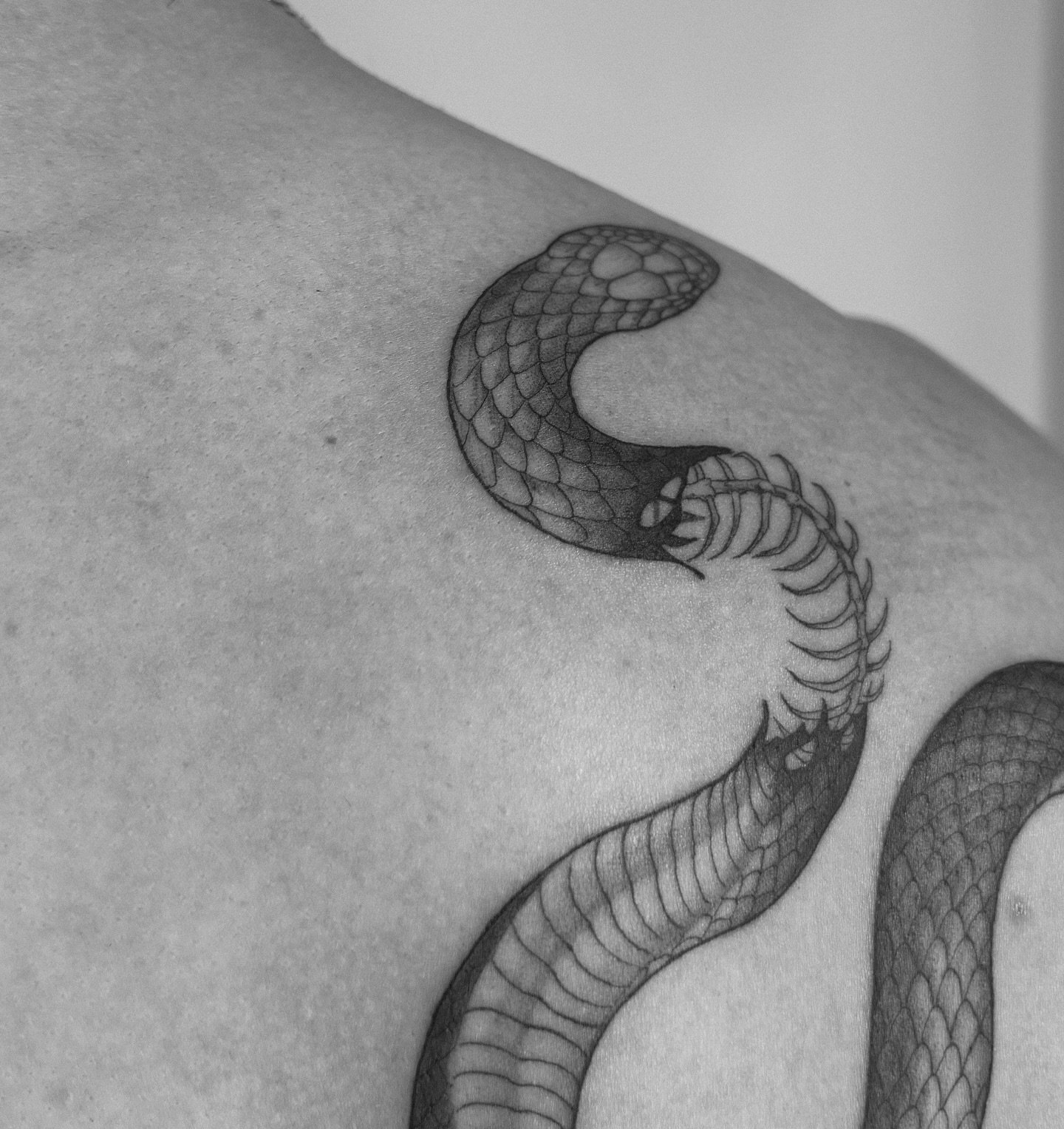 Tatuaje de animal en costilla, línea fina Sinkply Madrid