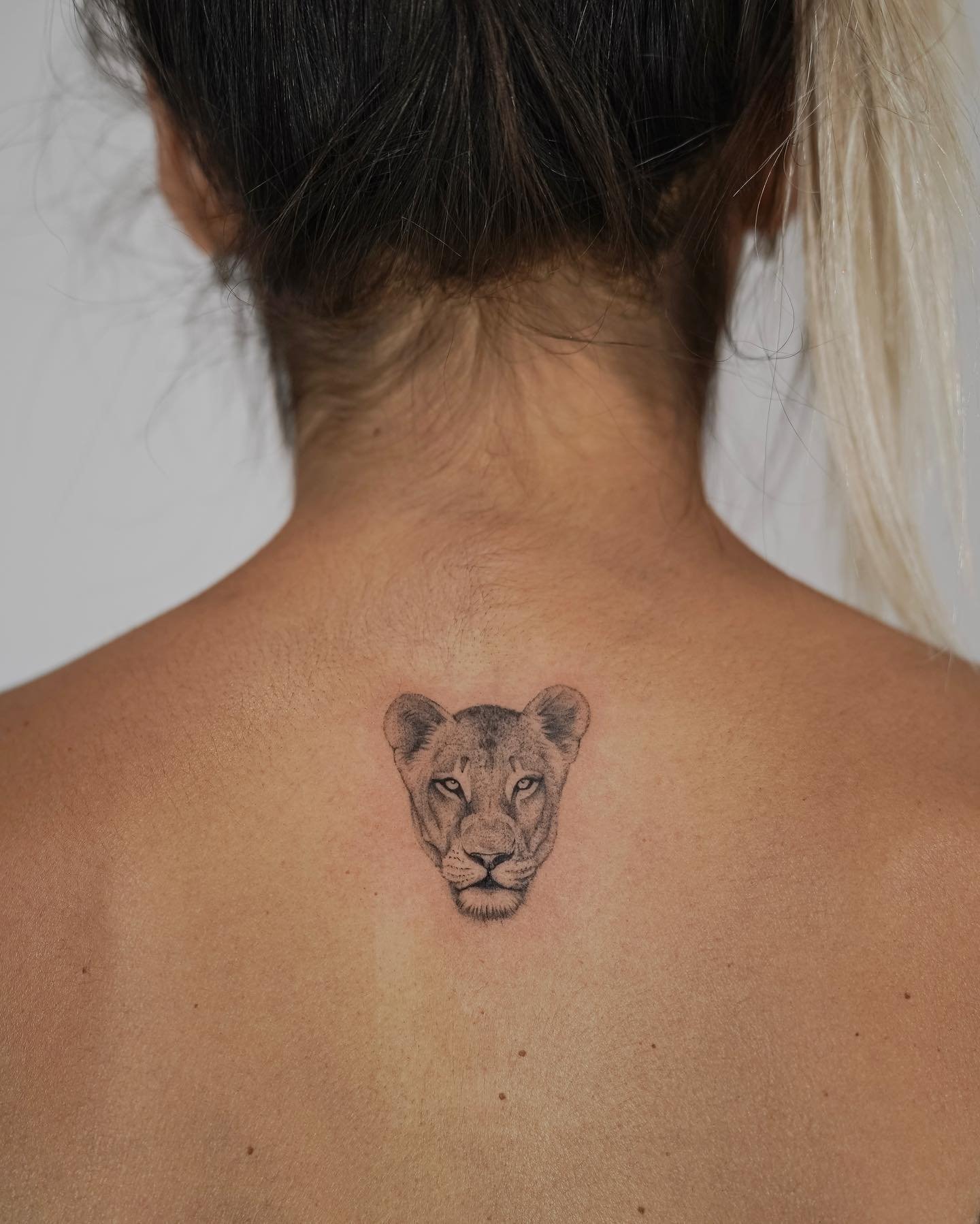 Tatuaje de animal en espalda, línea fina Sinkply Madrid