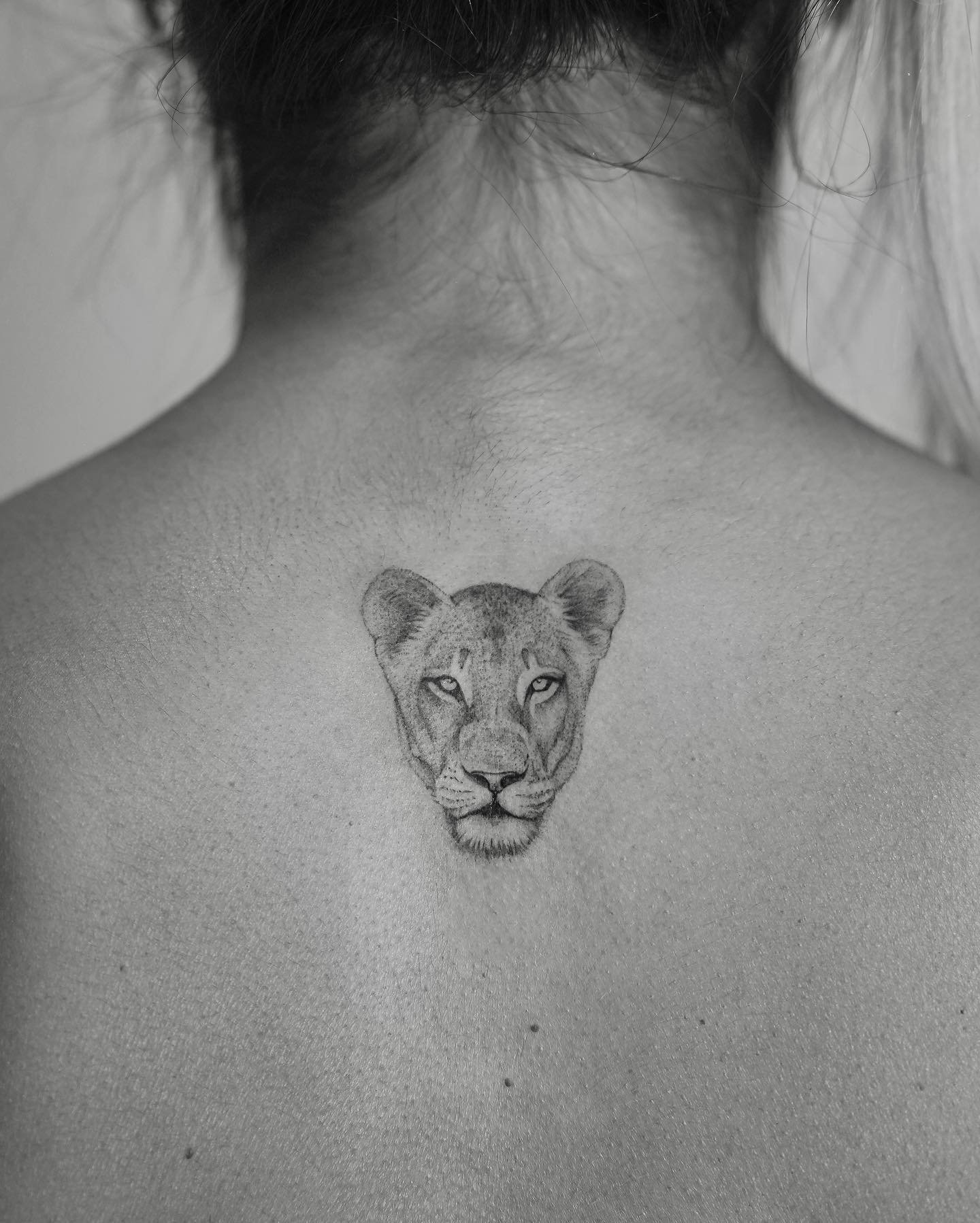 Fineline-Tattoo · Mikrorealismus · Rücken · Sinkply Zürich