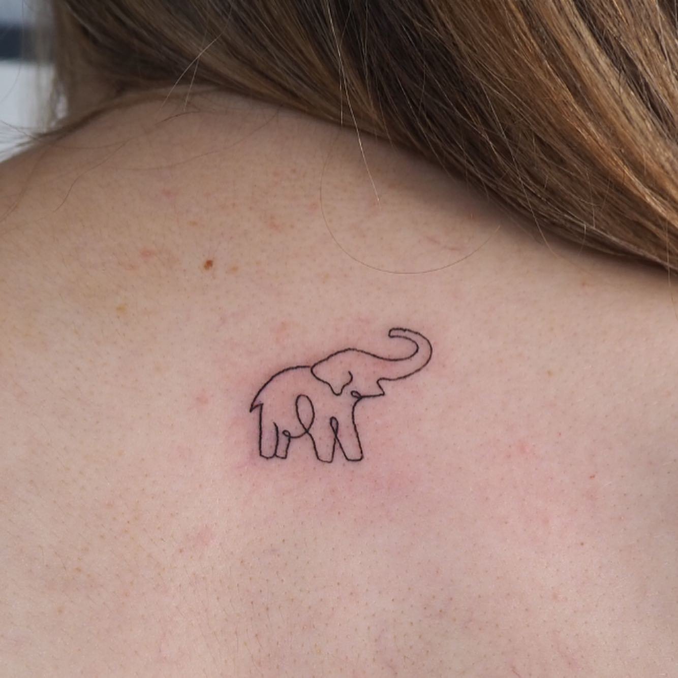 Tatuaje de animal en espalda, línea fina Sinkply Madrid