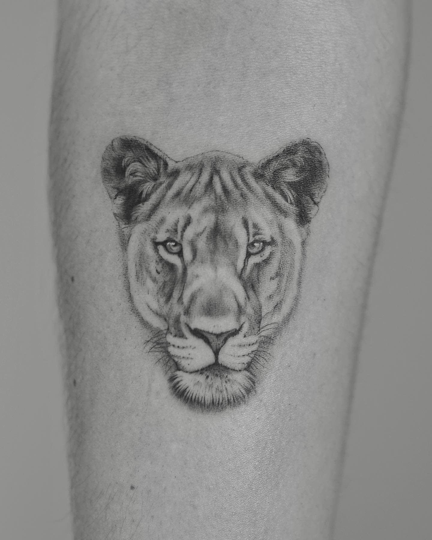 Tatuaje de animal en pierna, línea fina Sinkply Madrid