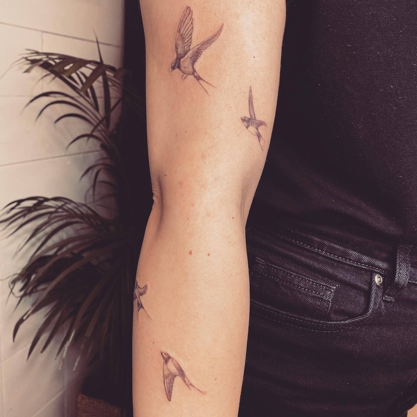 Tatuaje de ave en antebrazo, línea fina Sinkply Madrid