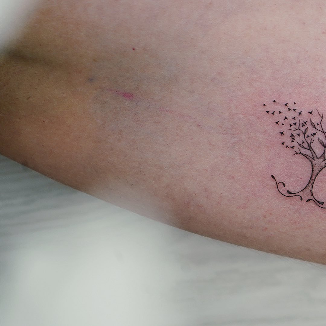 Tatuaje de ave en antebrazo, línea fina Sinkply Madrid