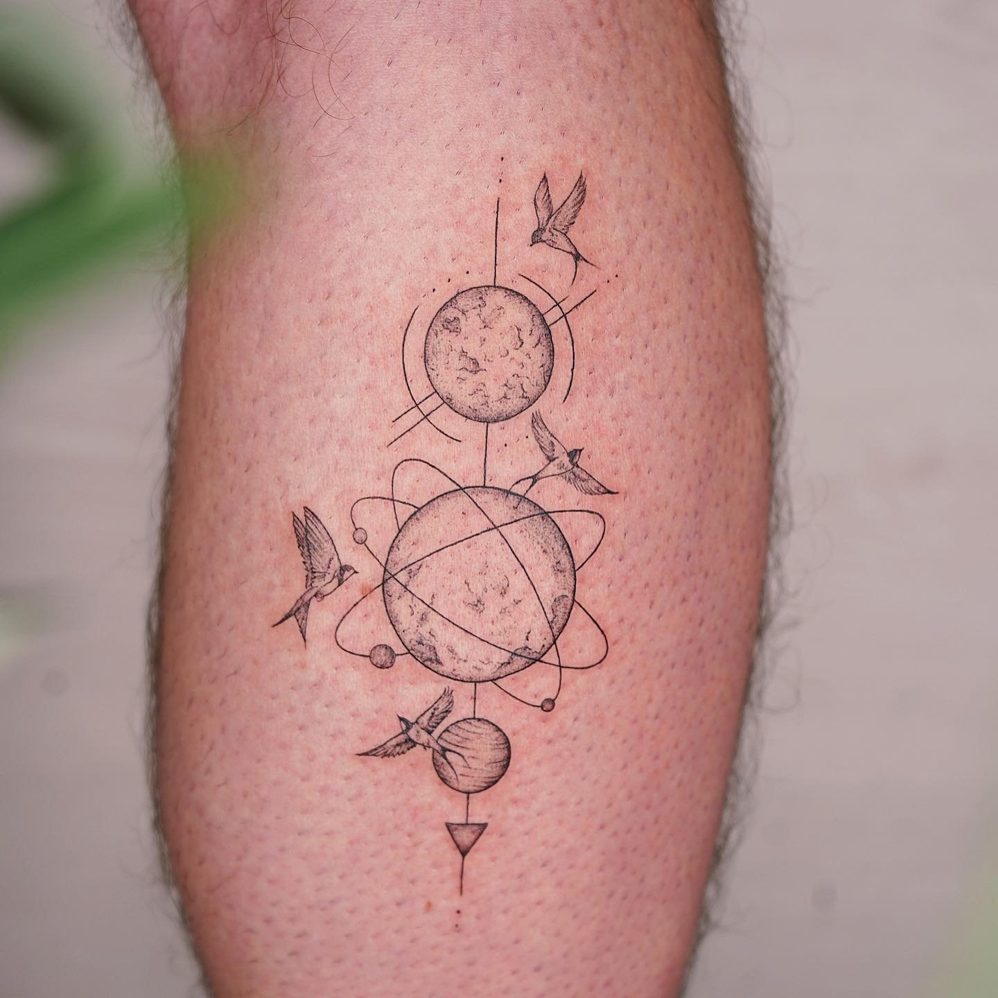 Tatuaje de ave en antebrazo, línea fina Sinkply Madrid