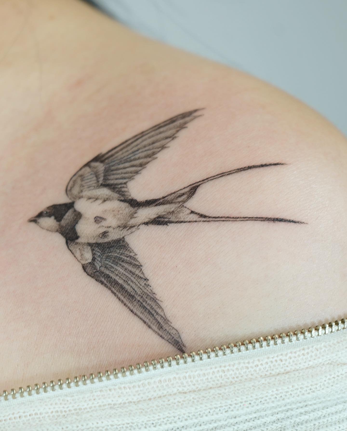 Tatuaje de ave en antebrazo, línea fina Sinkply Madrid