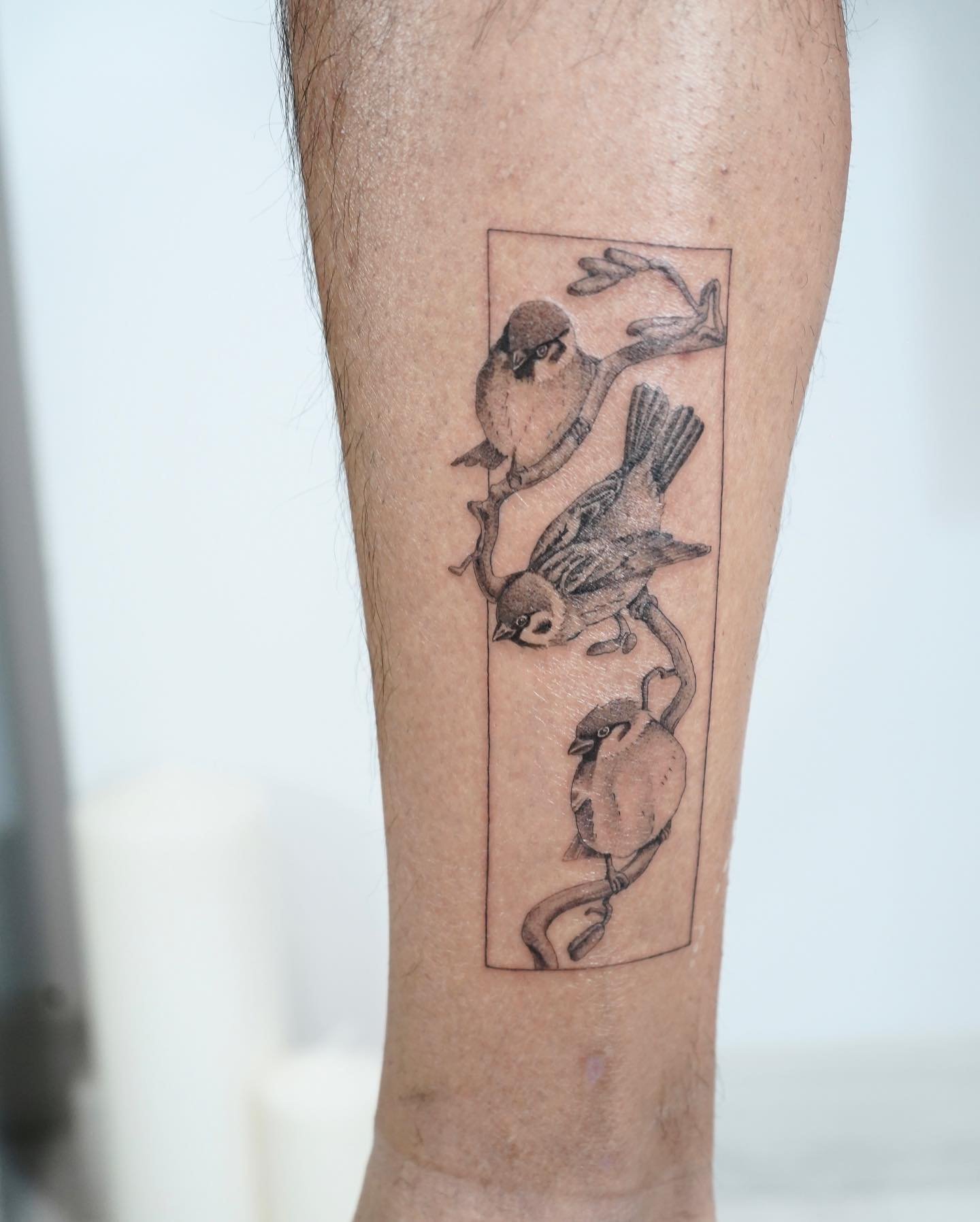 Tatuaje de ave en antebrazo, línea fina Sinkply Madrid