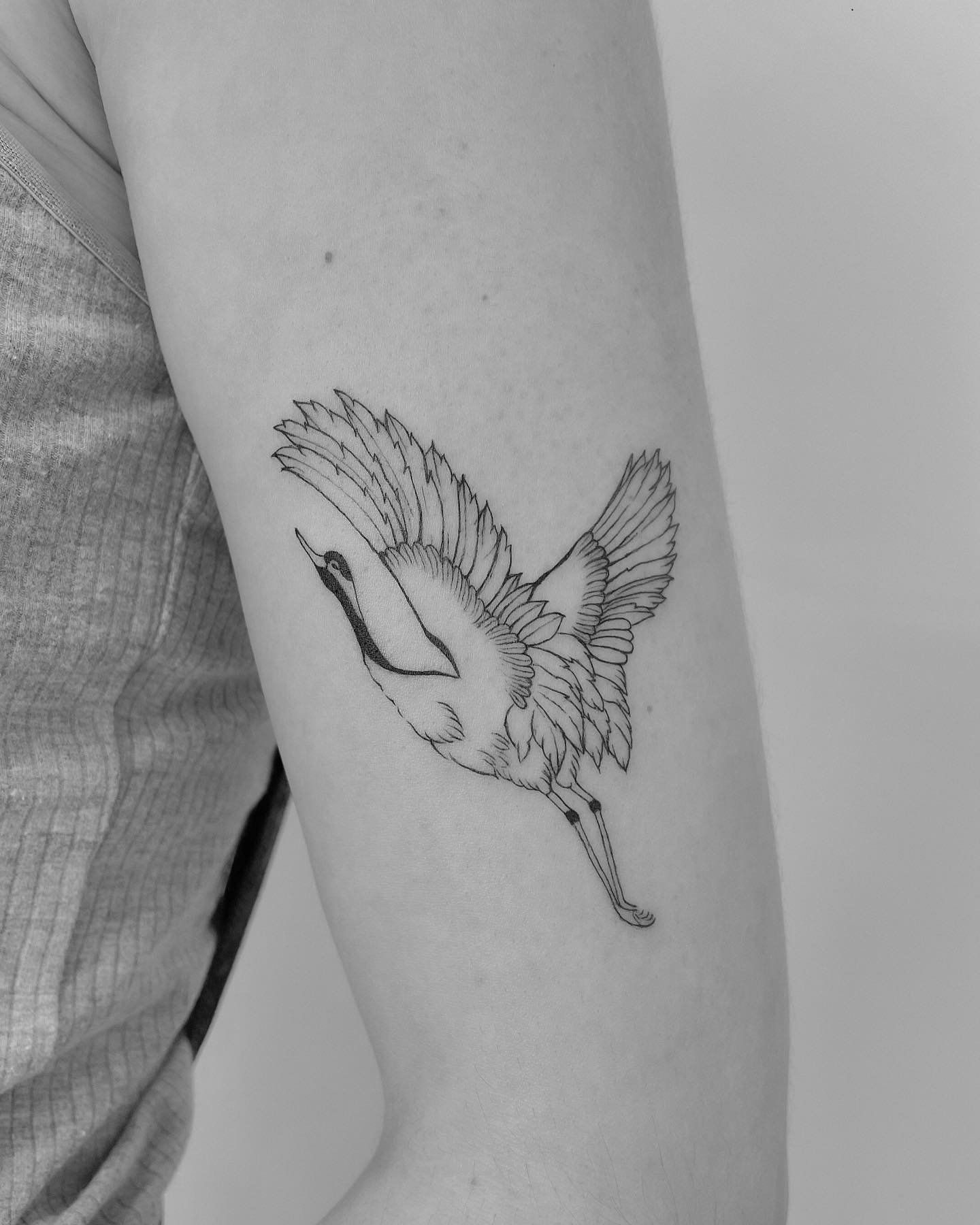 Tatuaje de ave en antebrazo, línea fina Sinkply Madrid
