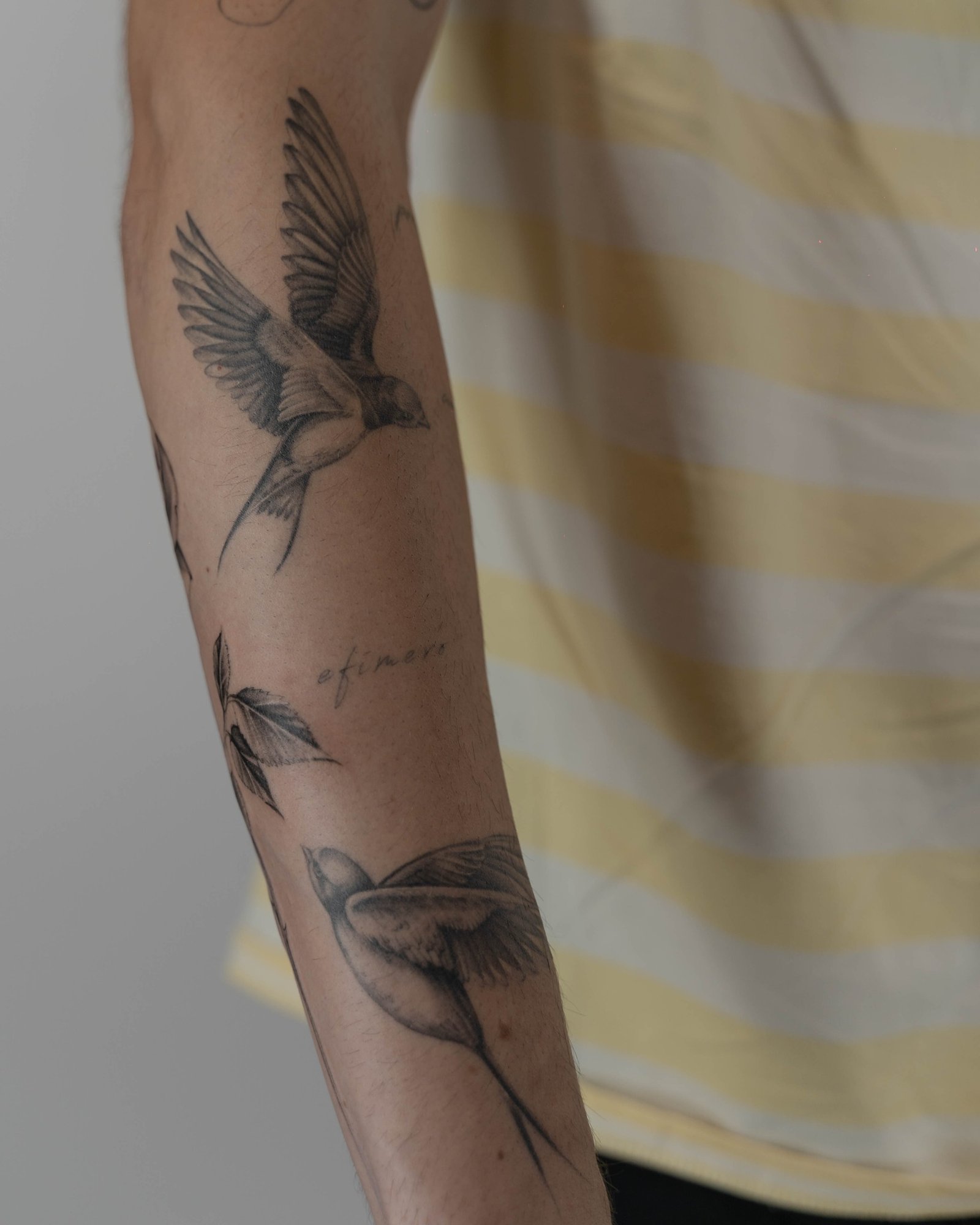 Tatuaje de ave en antebrazo, línea fina Sinkply Madrid