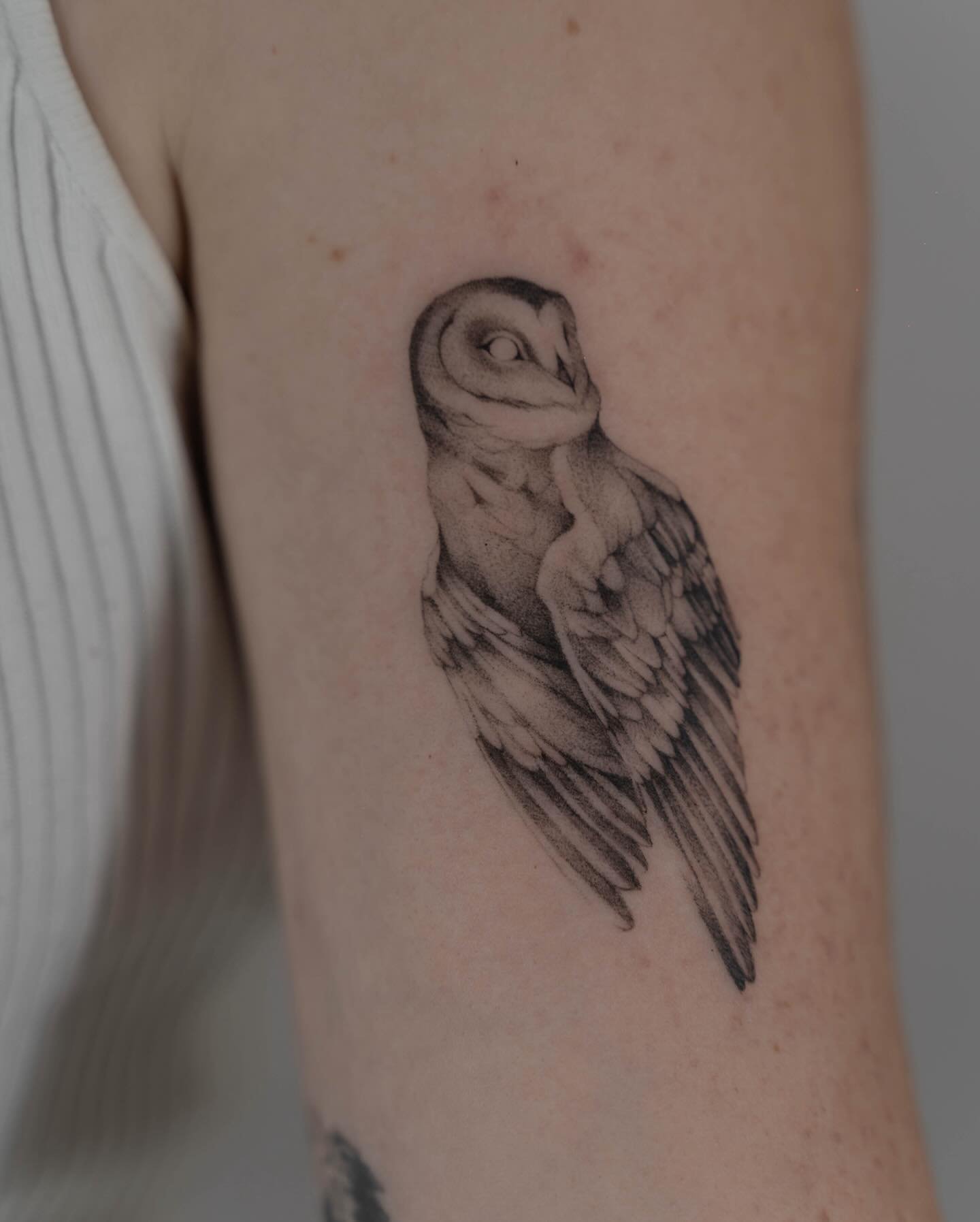 Tatuaje de ave en antebrazo, línea fina Sinkply Madrid