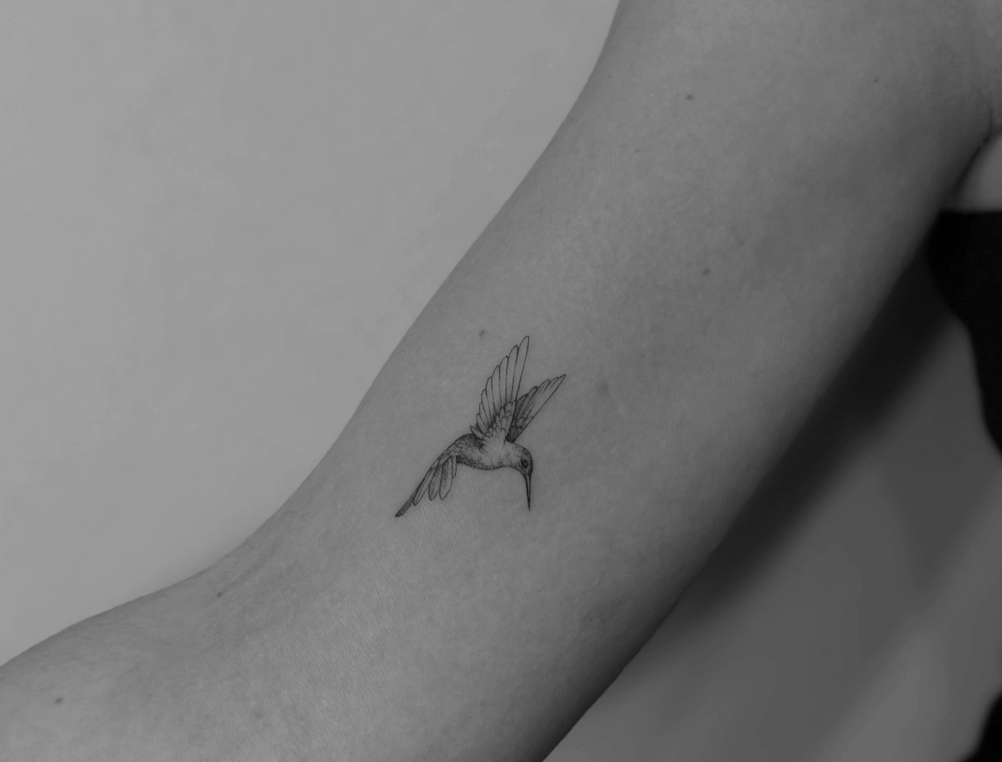 Tatuaje de ave en antebrazo, línea fina Sinkply Madrid