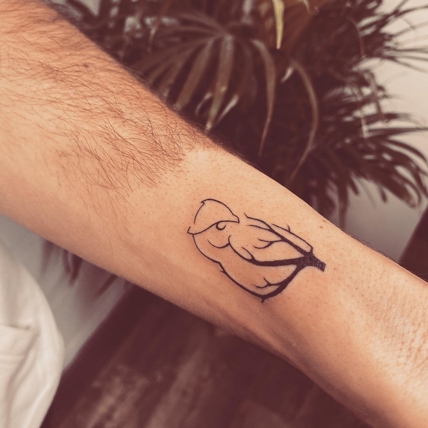Tatuaje de ave en antebrazo, línea fina Sinkply Madrid