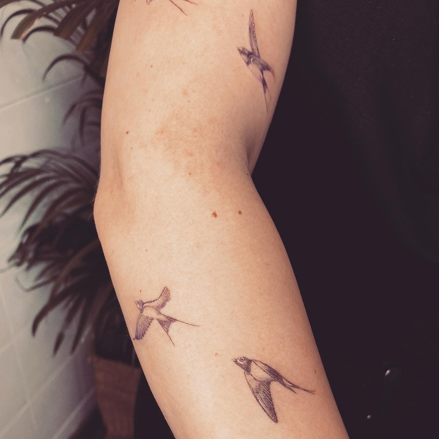 Tatuaje de ave en antebrazo, línea fina Sinkply Madrid