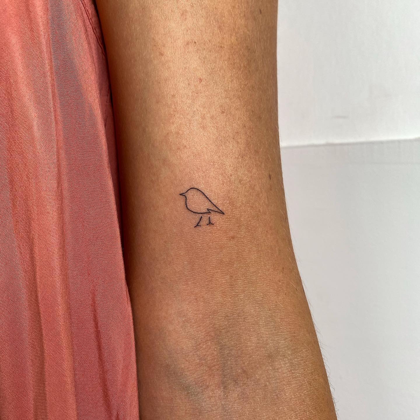 Tatuaje de ave en antebrazo, línea fina Sinkply Madrid