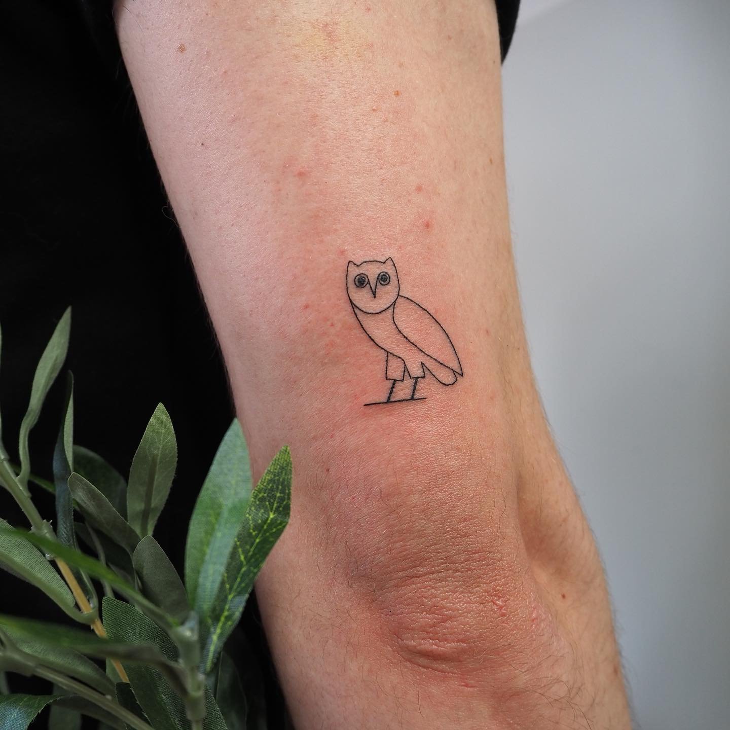 Tatuaje de ave en antebrazo, línea fina Sinkply Madrid