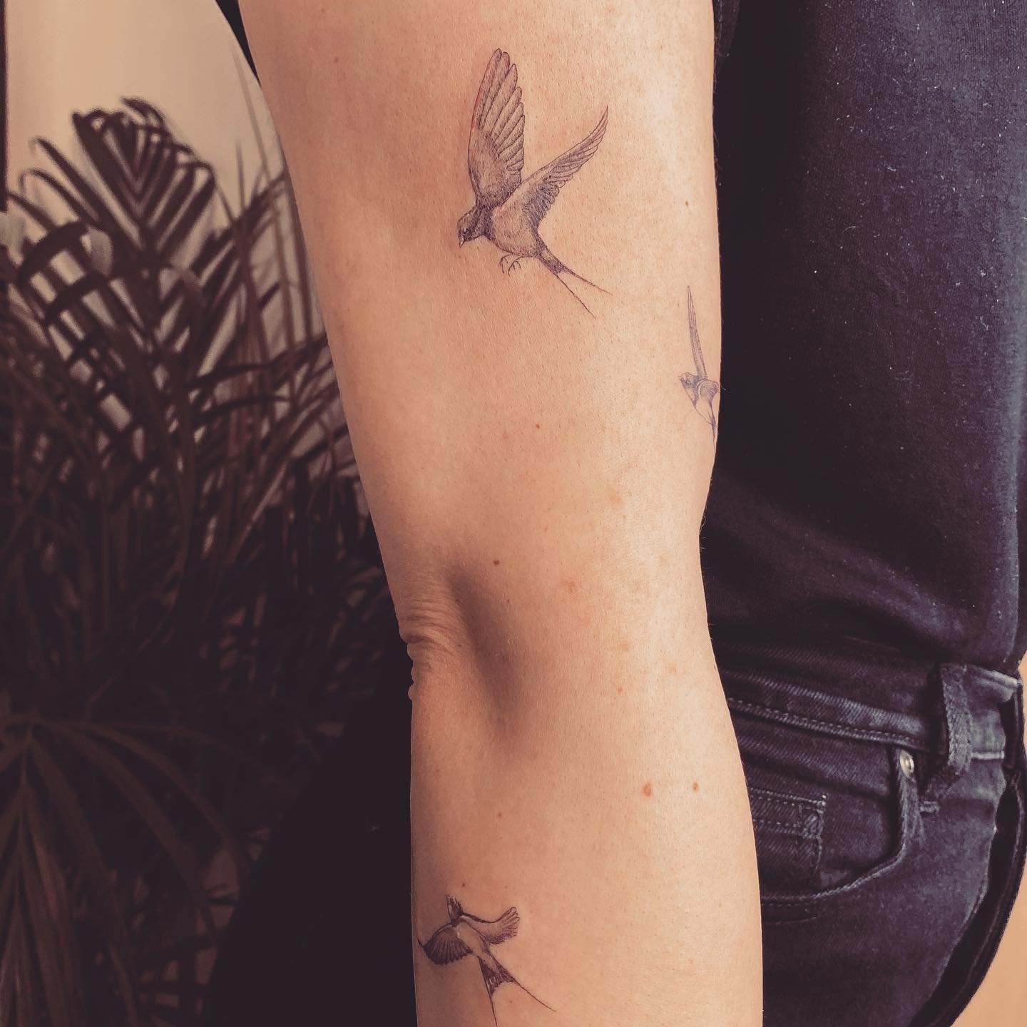 Tatuaje de ave en brazo, línea fina Sinkply Madrid