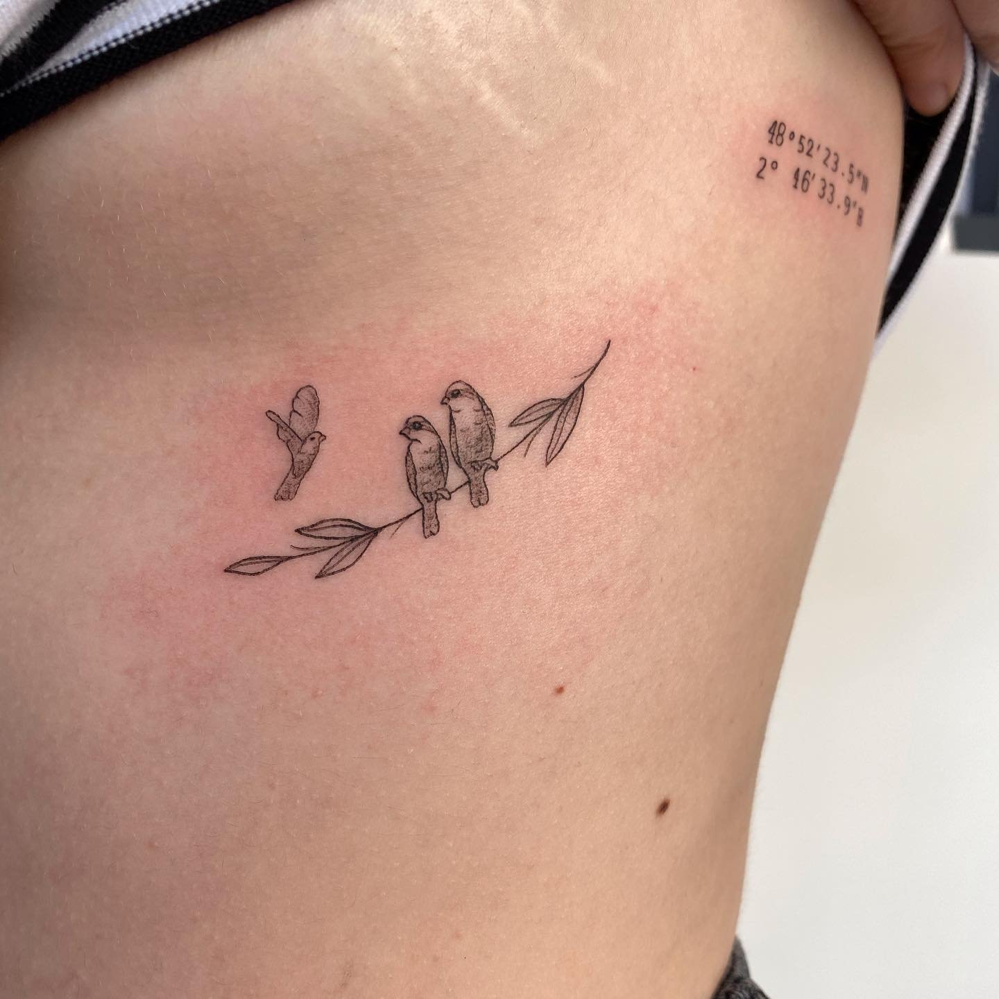 Tatuaje de ave en muslo, línea fina Sinkply Madrid