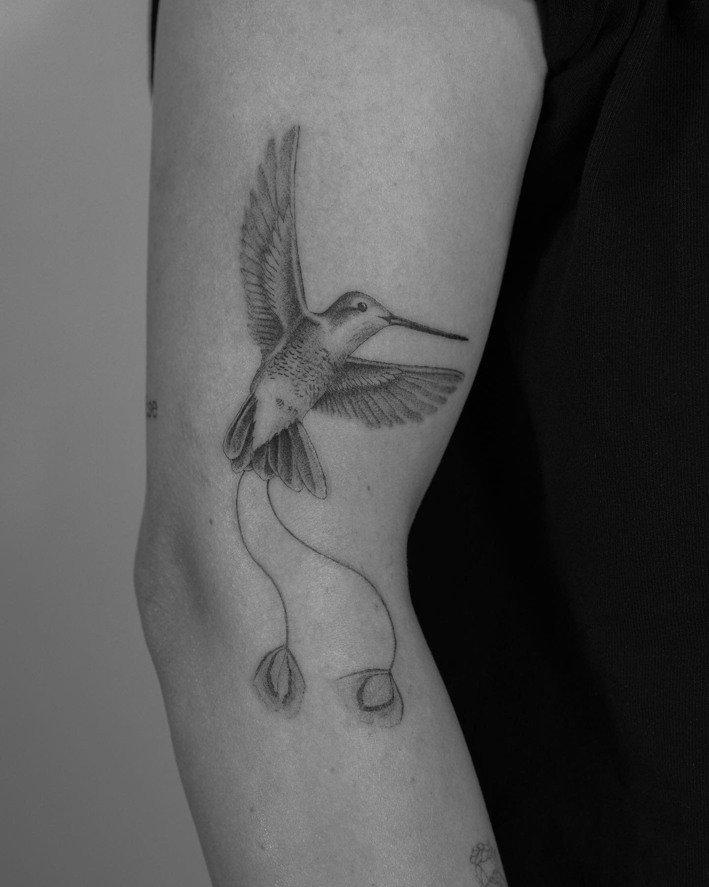 Tatuaje de ave en muslo, línea fina Sinkply Madrid
