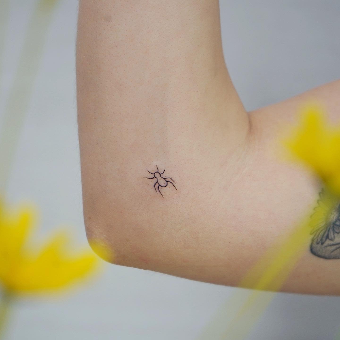 Tatuaje de insecto en antebrazo, línea fina Sinkply Madrid