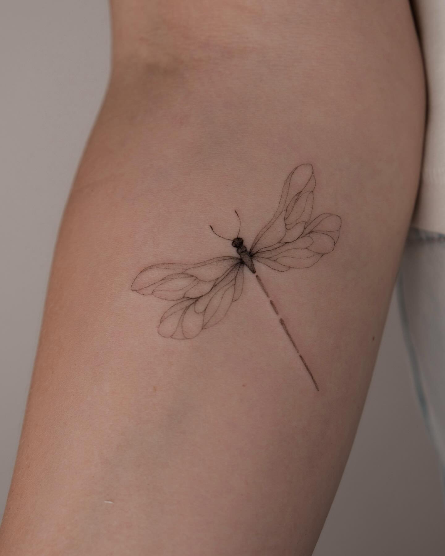Tatuaje de insecto en antebrazo, línea fina Sinkply Madrid