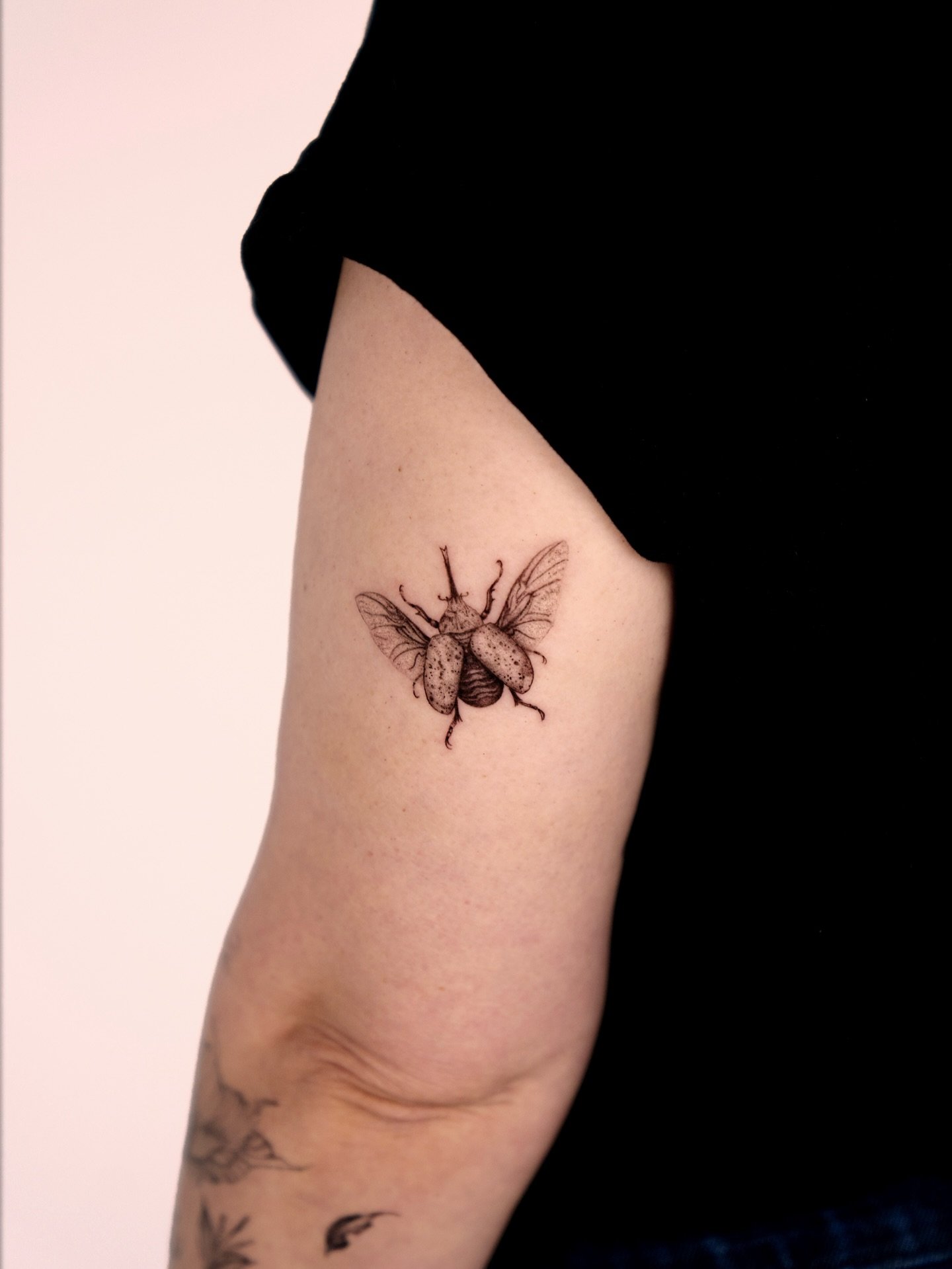 Tatuaje de insecto en brazo, línea fina Sinkply Madrid