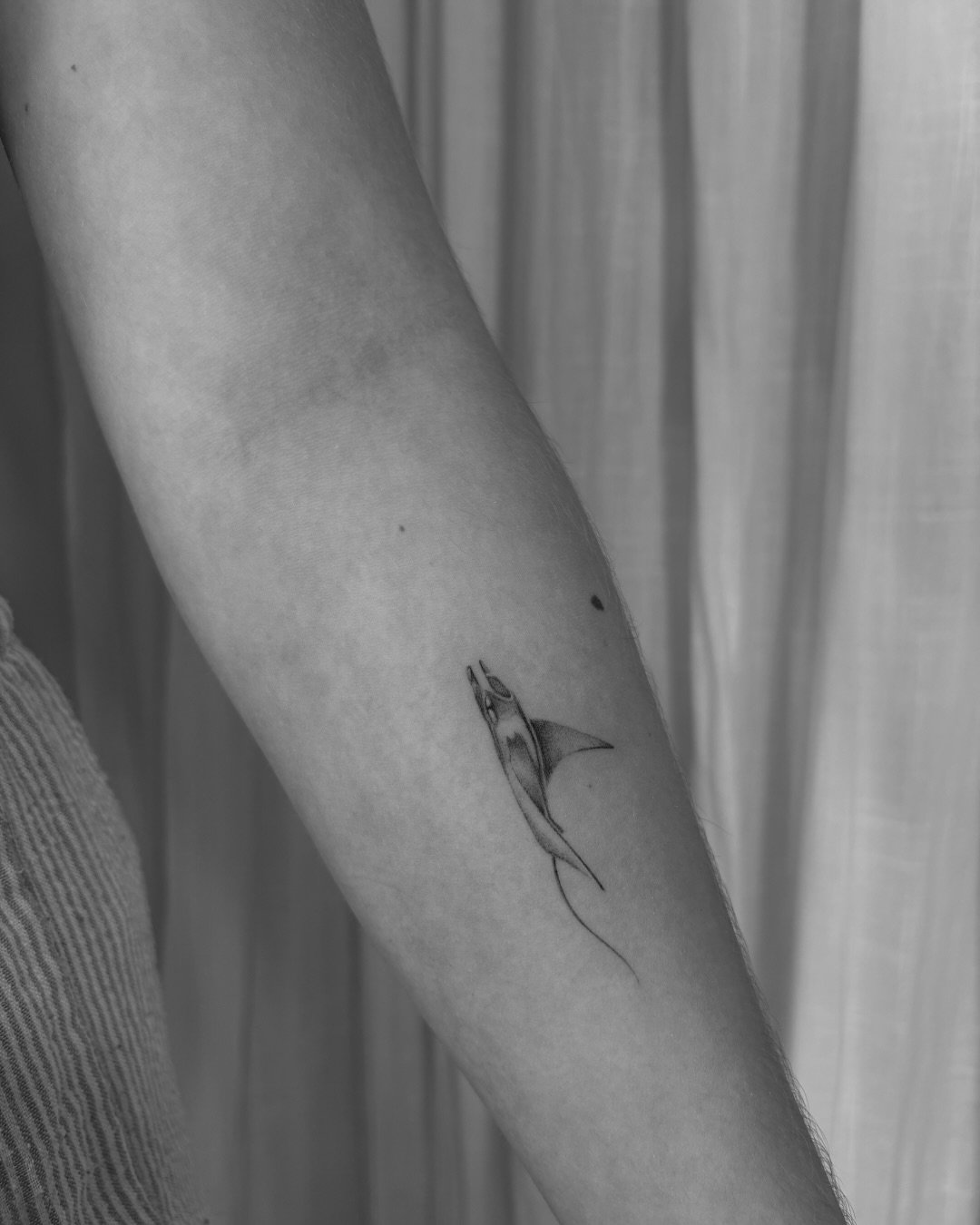 Tatuaje de marino en antebrazo, línea fina Sinkply Madrid
