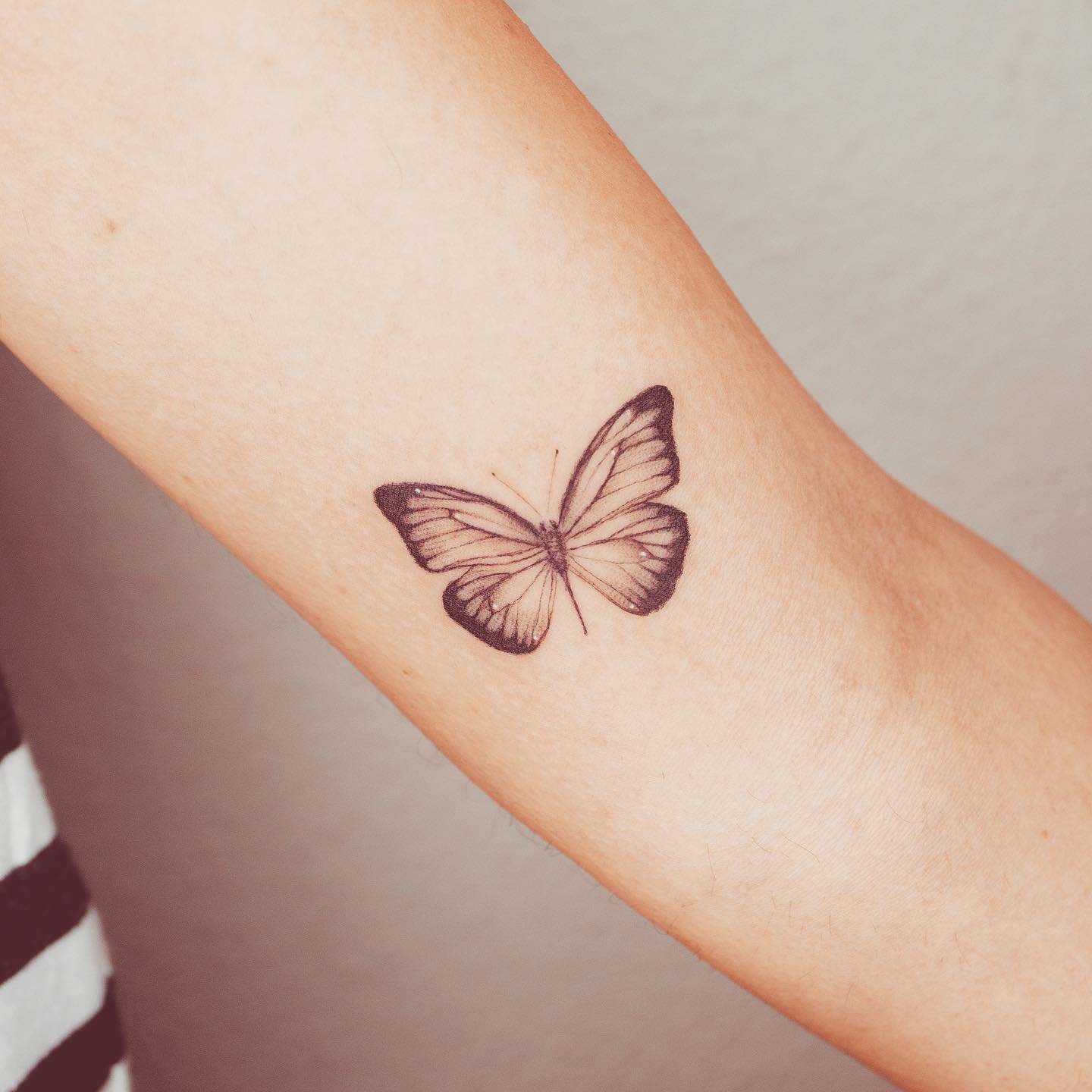 Tatuaje de mariposa en antebrazo, línea fina Sinkply Madrid