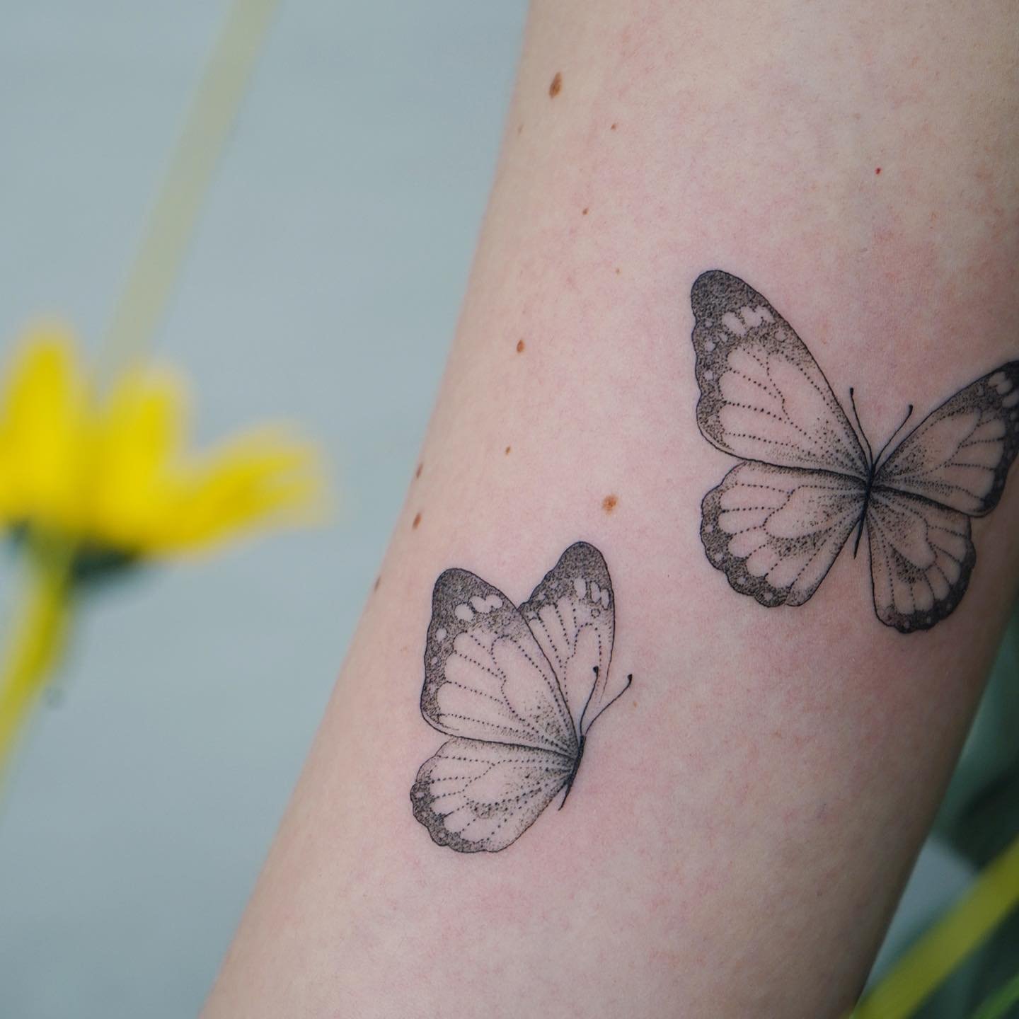 Tatuaje de mariposa en antebrazo, línea fina Sinkply Madrid