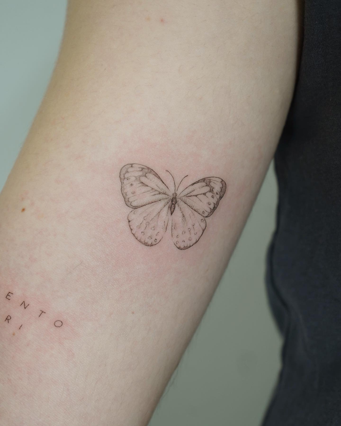 Tatuaje de mariposa en antebrazo, línea fina Sinkply Madrid
