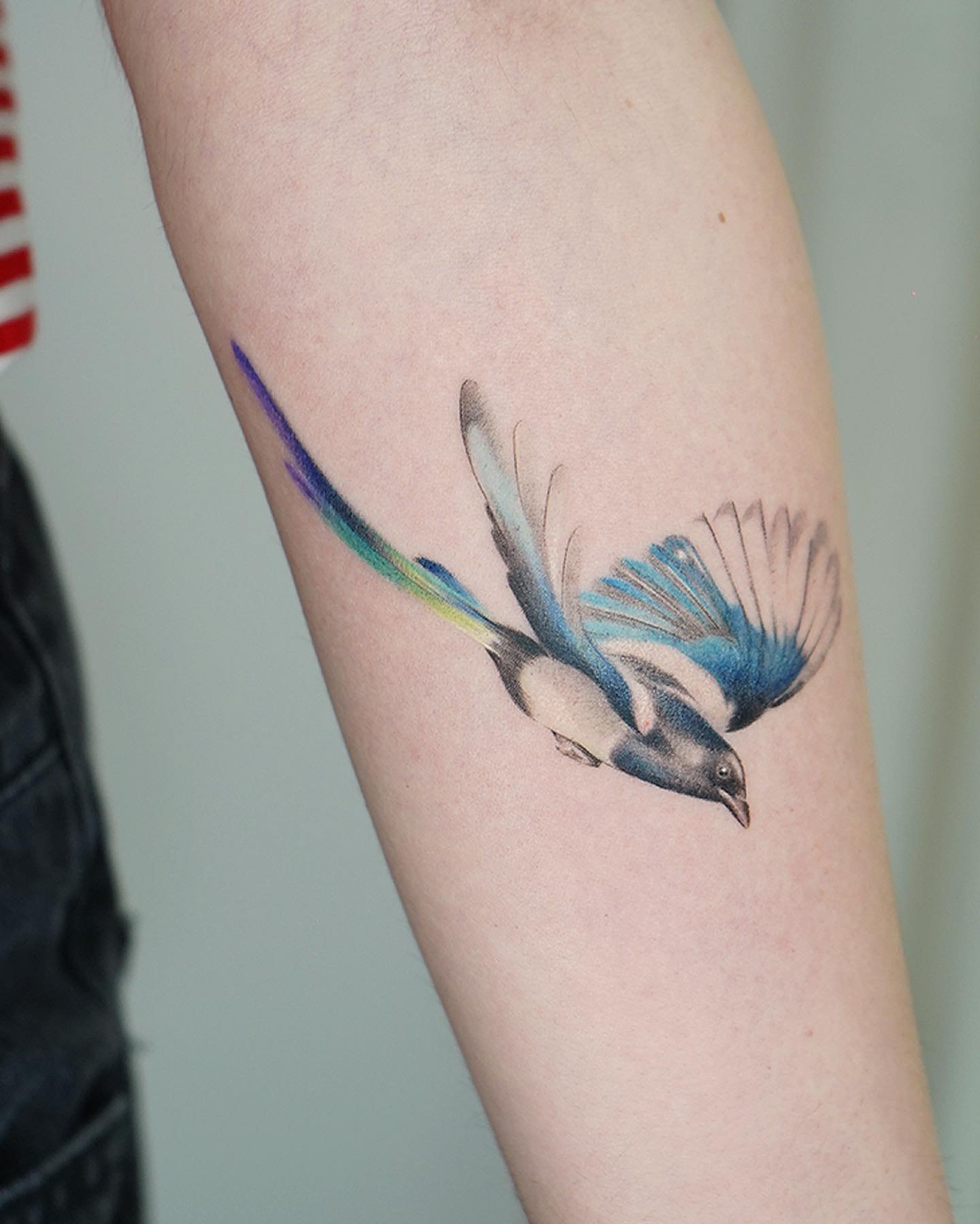 Tatuaje de mariposa en antebrazo, línea fina Sinkply Madrid