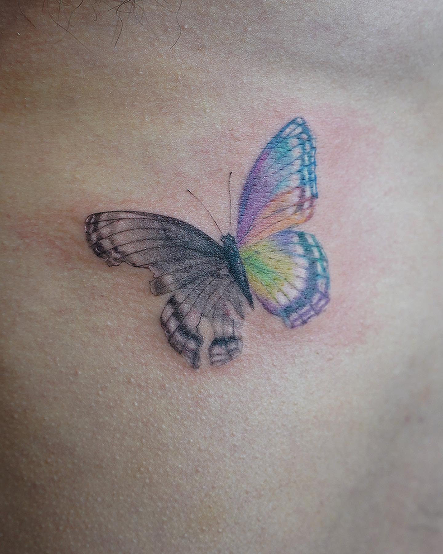 Tatuaje de mariposa en antebrazo, línea fina Sinkply Madrid