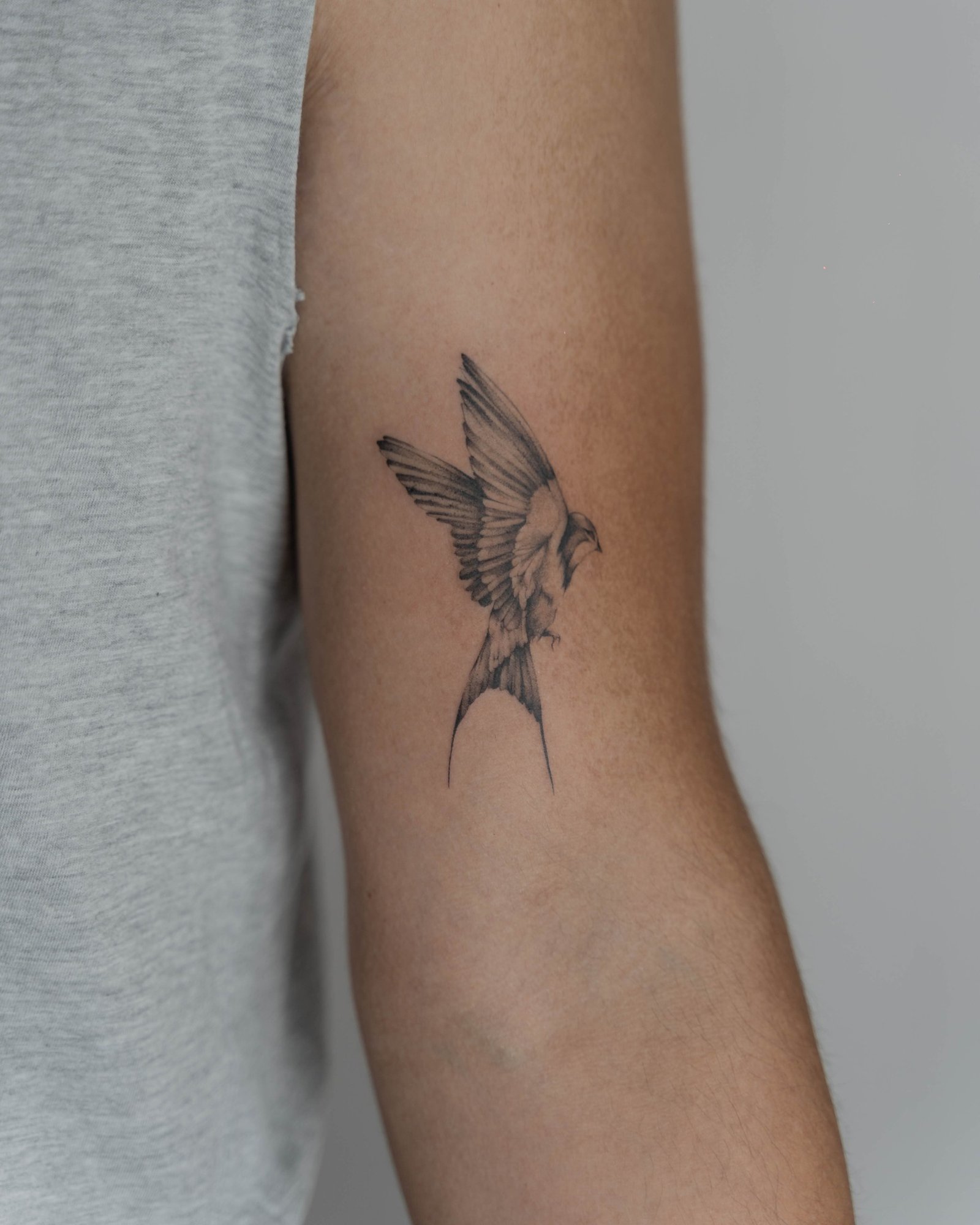 Tatuaje de mariposa en antebrazo, línea fina Sinkply Madrid