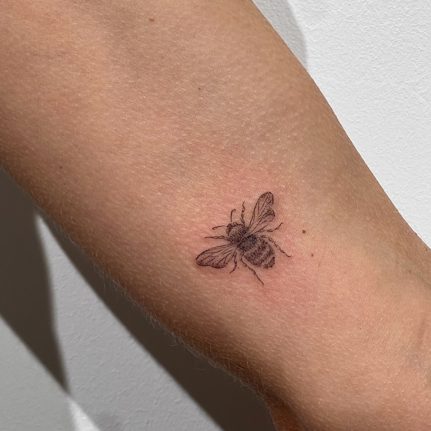 Tatuaje de mariposa en antebrazo, línea fina Sinkply Madrid