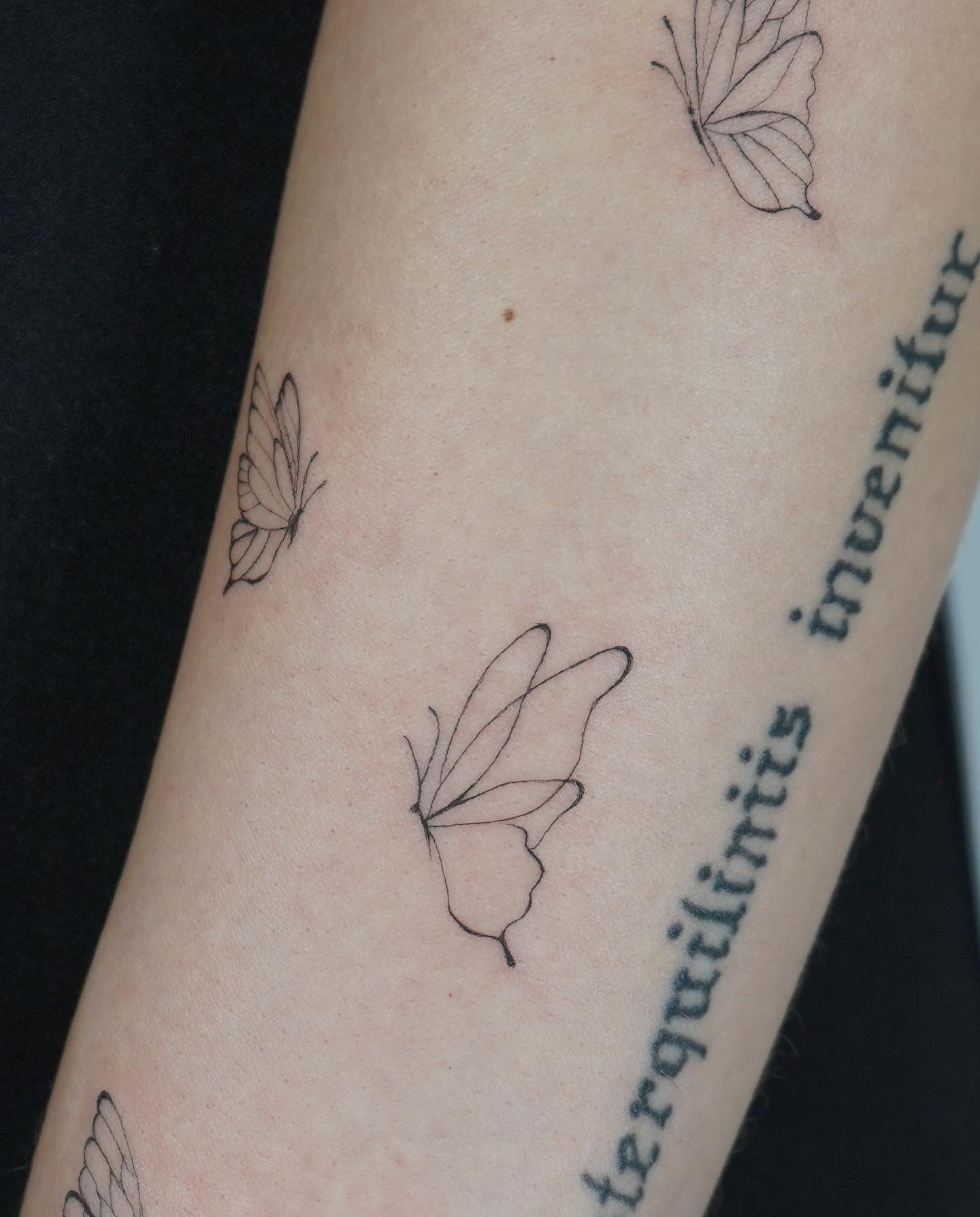 Tatuaje de mariposa en antebrazo, línea fina Sinkply Madrid