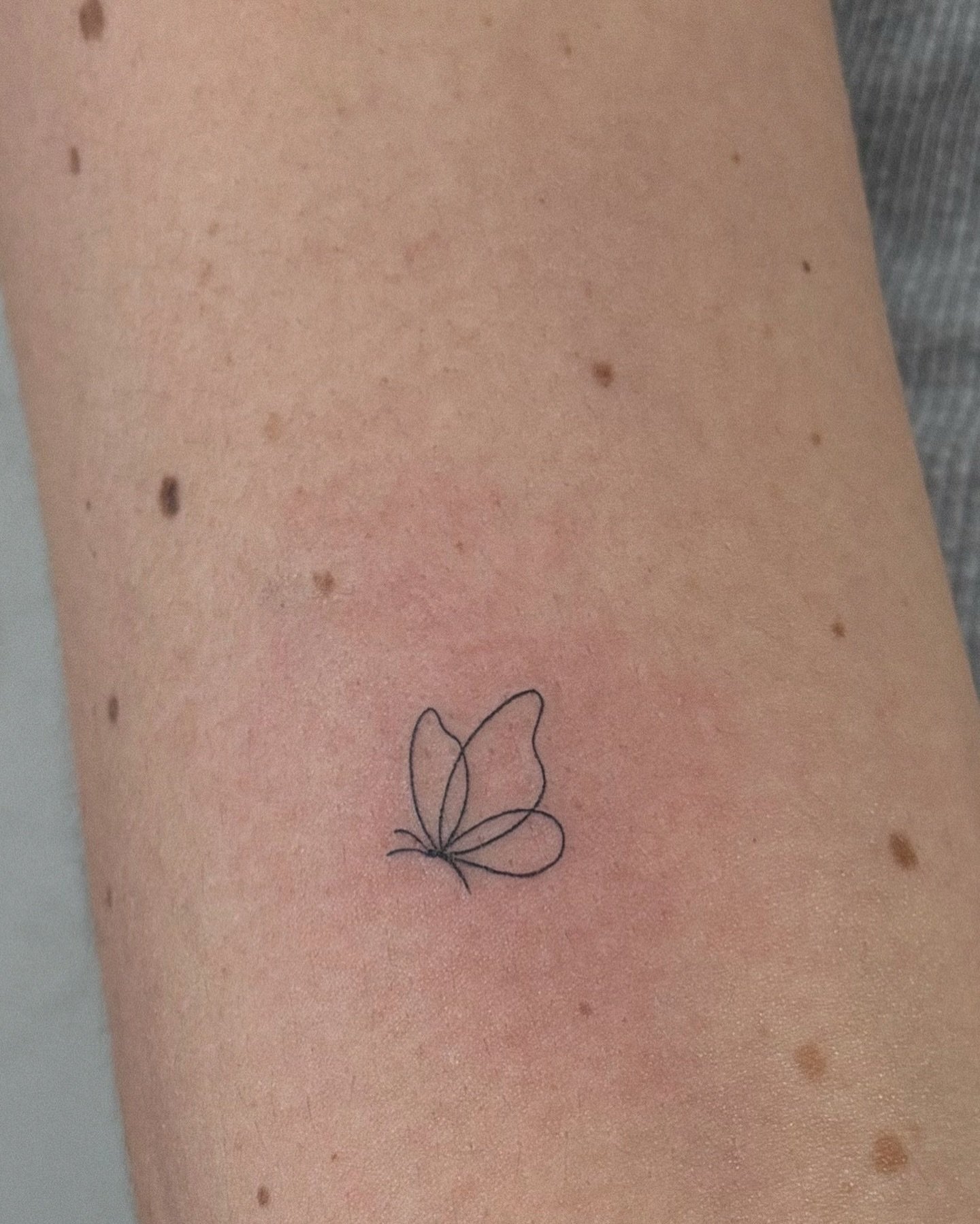 Tatuaje de mariposa en brazo, línea fina Sinkply Madrid