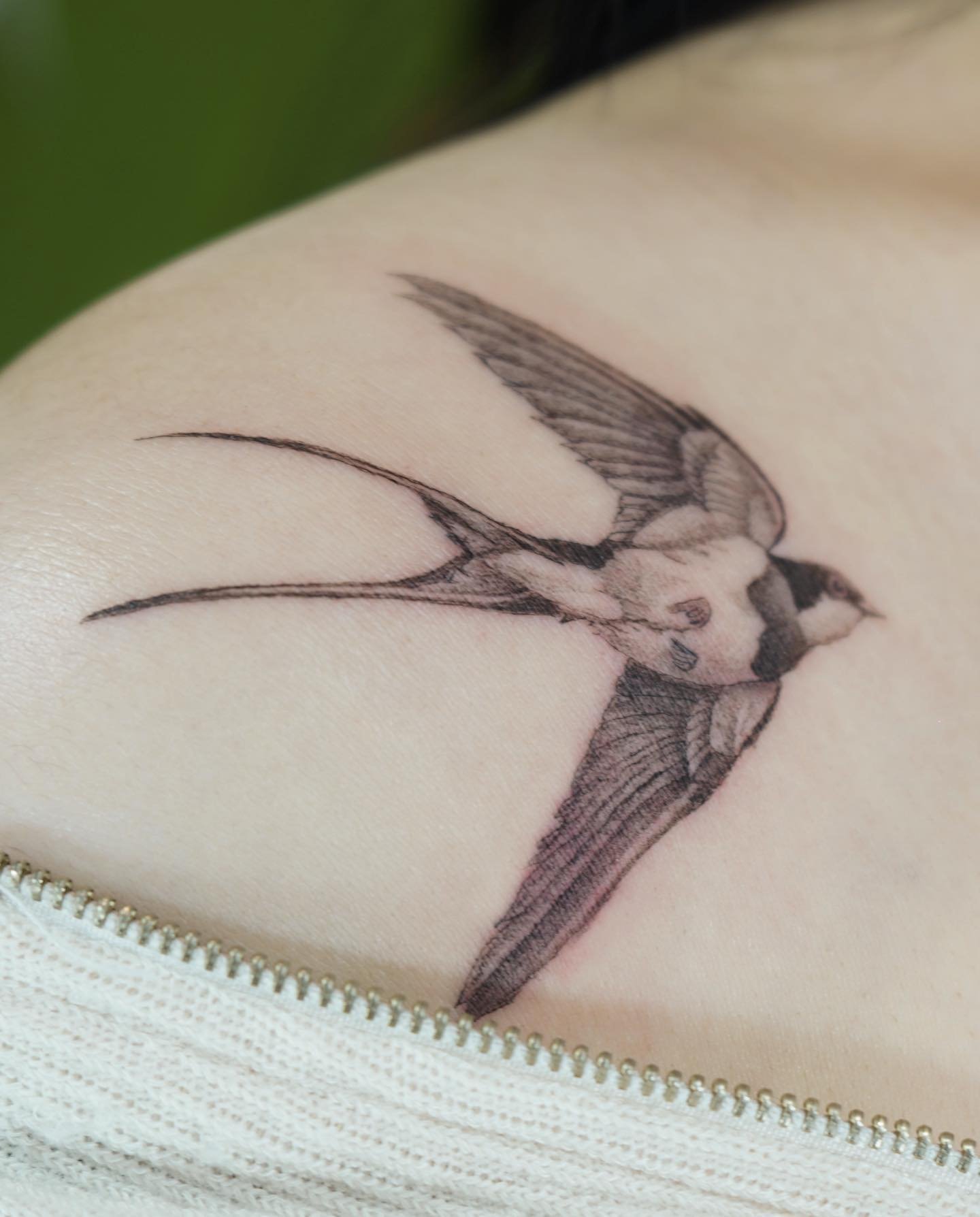 Tatuaje de mariposa en espalda, línea fina Sinkply Madrid