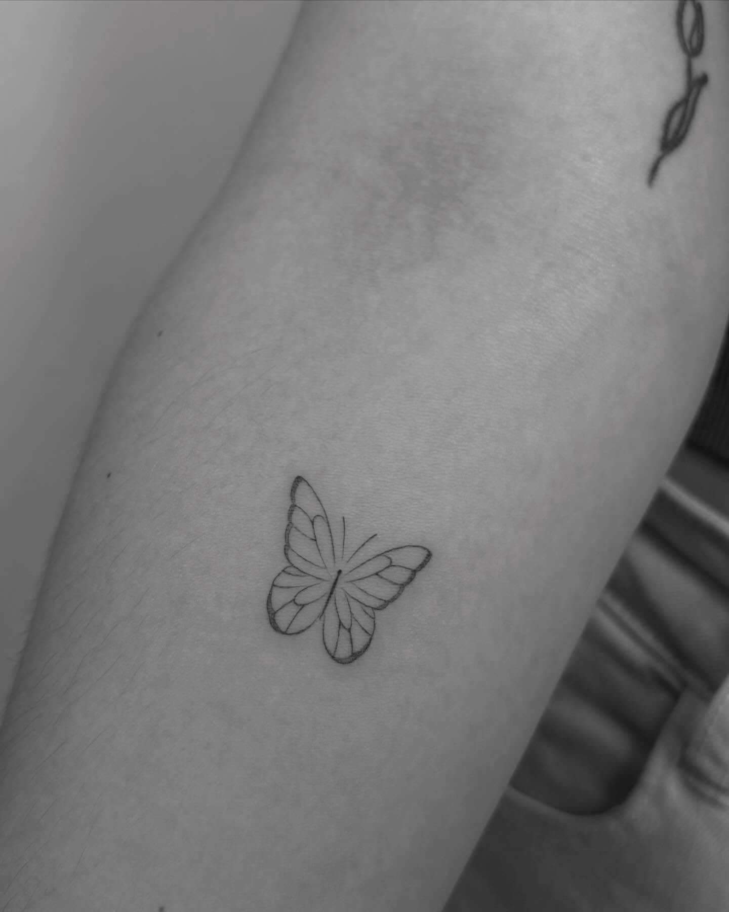 Tatuaje de mariposa en pierna, línea fina Sinkply Madrid