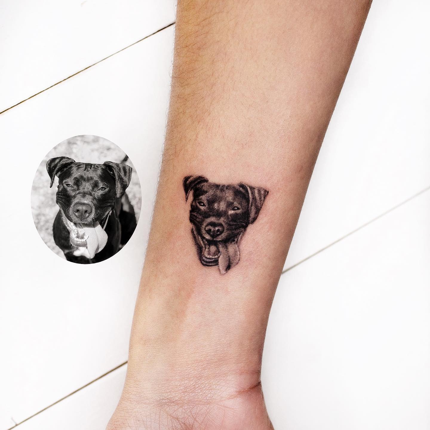 Tatuaje de pet en antebrazo, línea fina Sinkply Madrid