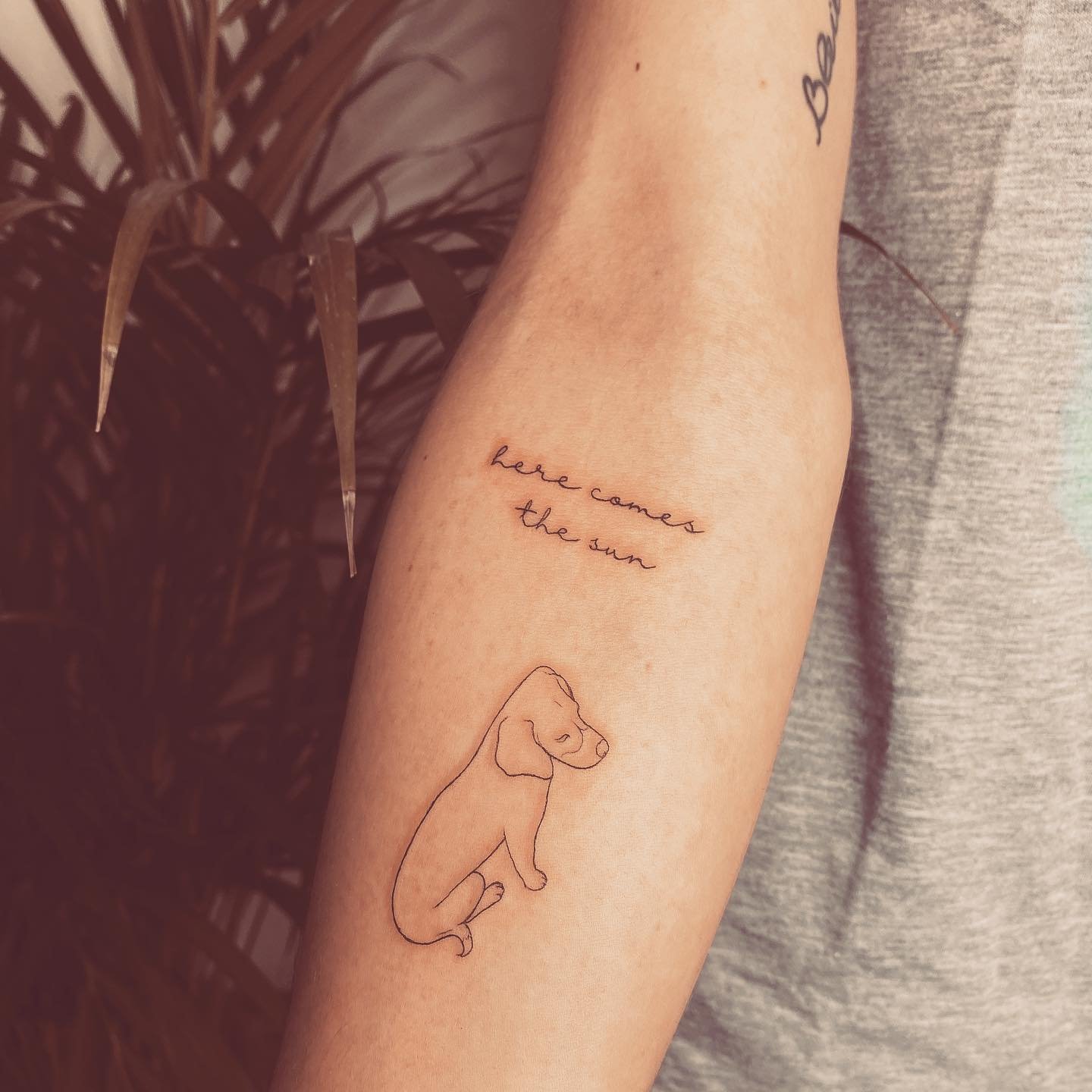 Tatuaje de pet en antebrazo, línea fina Sinkply Madrid