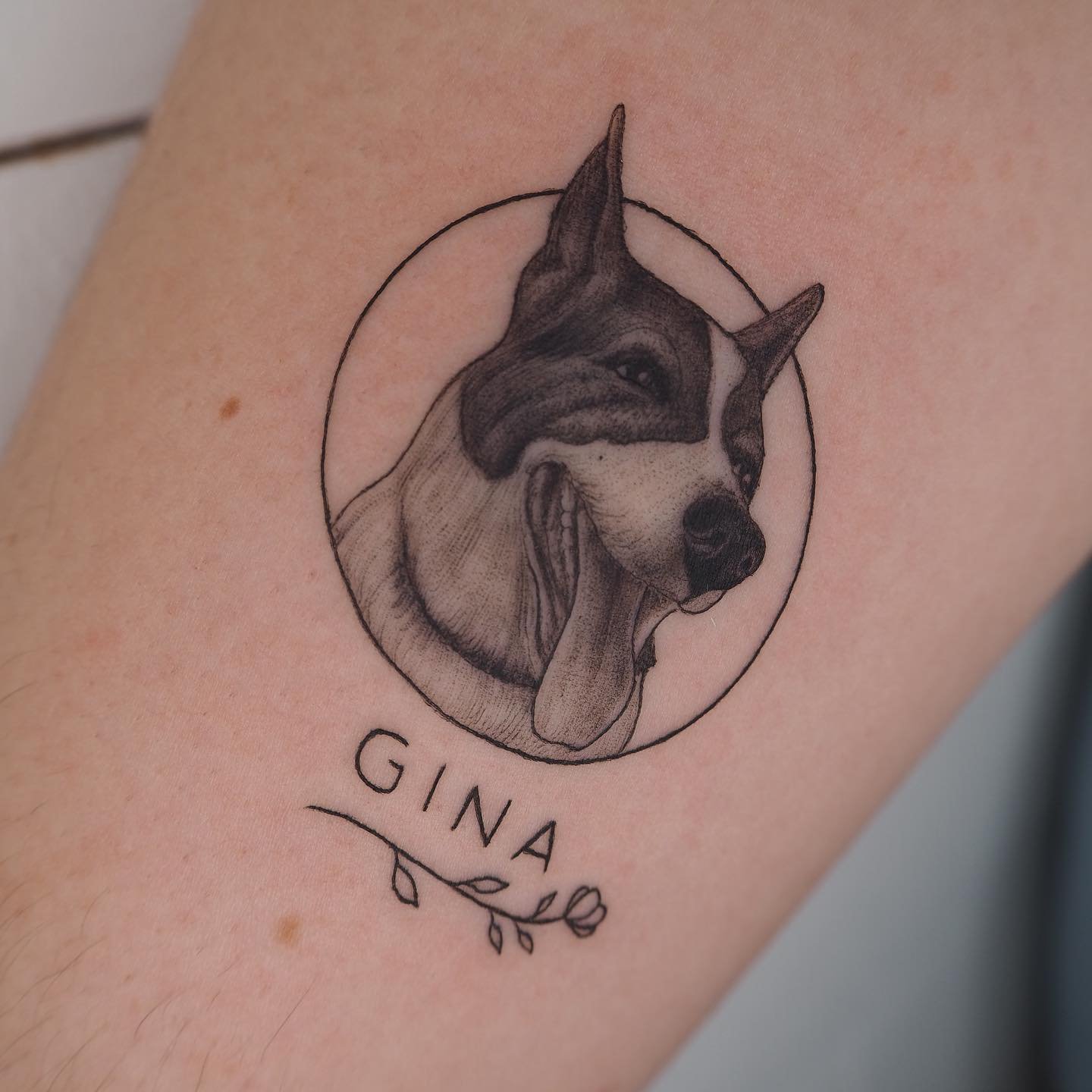 Tatuaje de pet en antebrazo, línea fina Sinkply Madrid